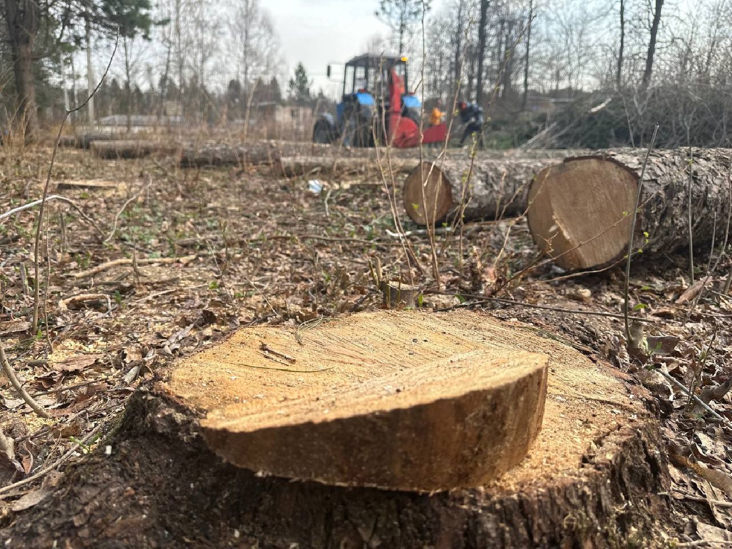 Можайск, Можайский городской округ, Подмосковье, детские площадки, губернаторская программа, дети, Добродел, благоустройство