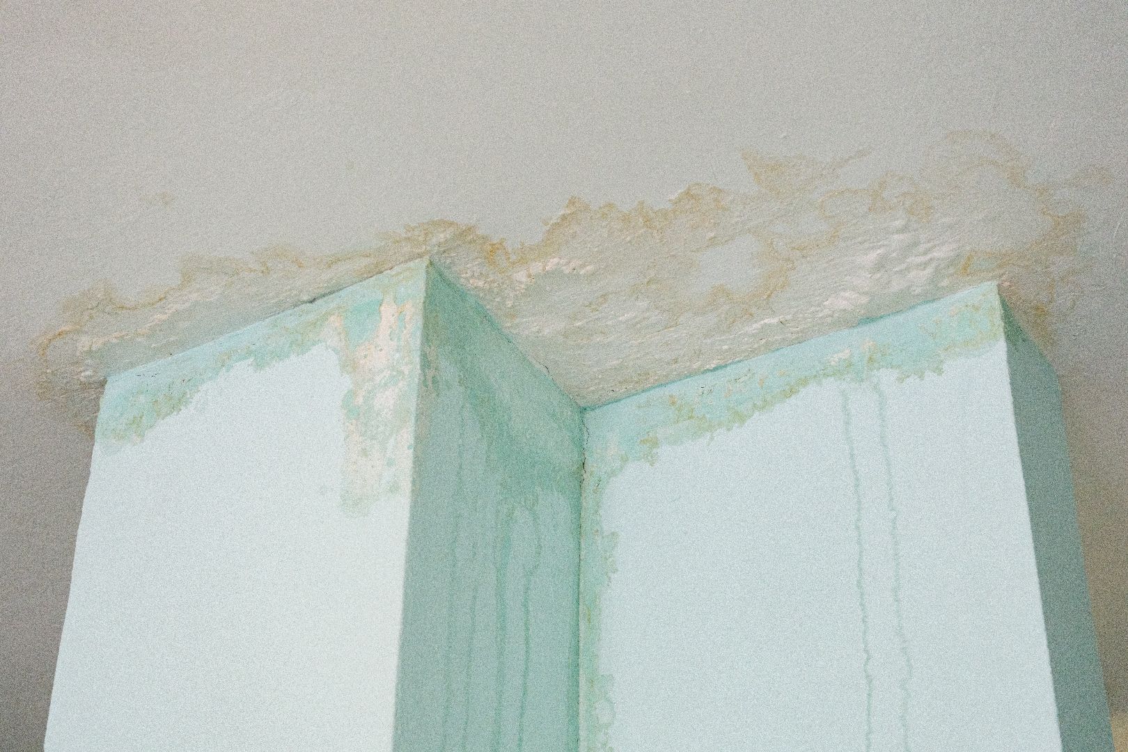 лыткарино, общество, выездная администиация,