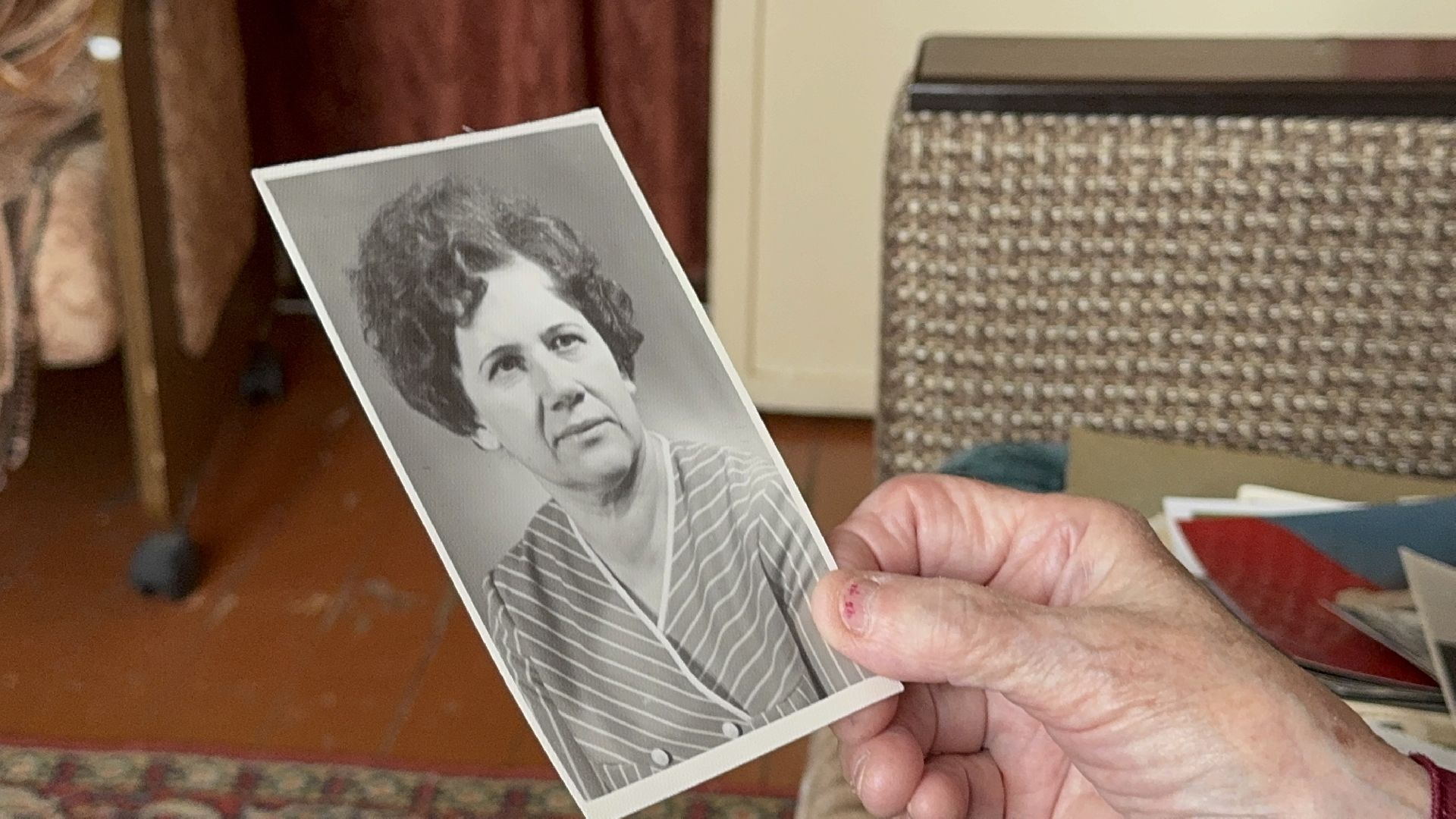 солнечногорск, узник, праздник, жители, глава,