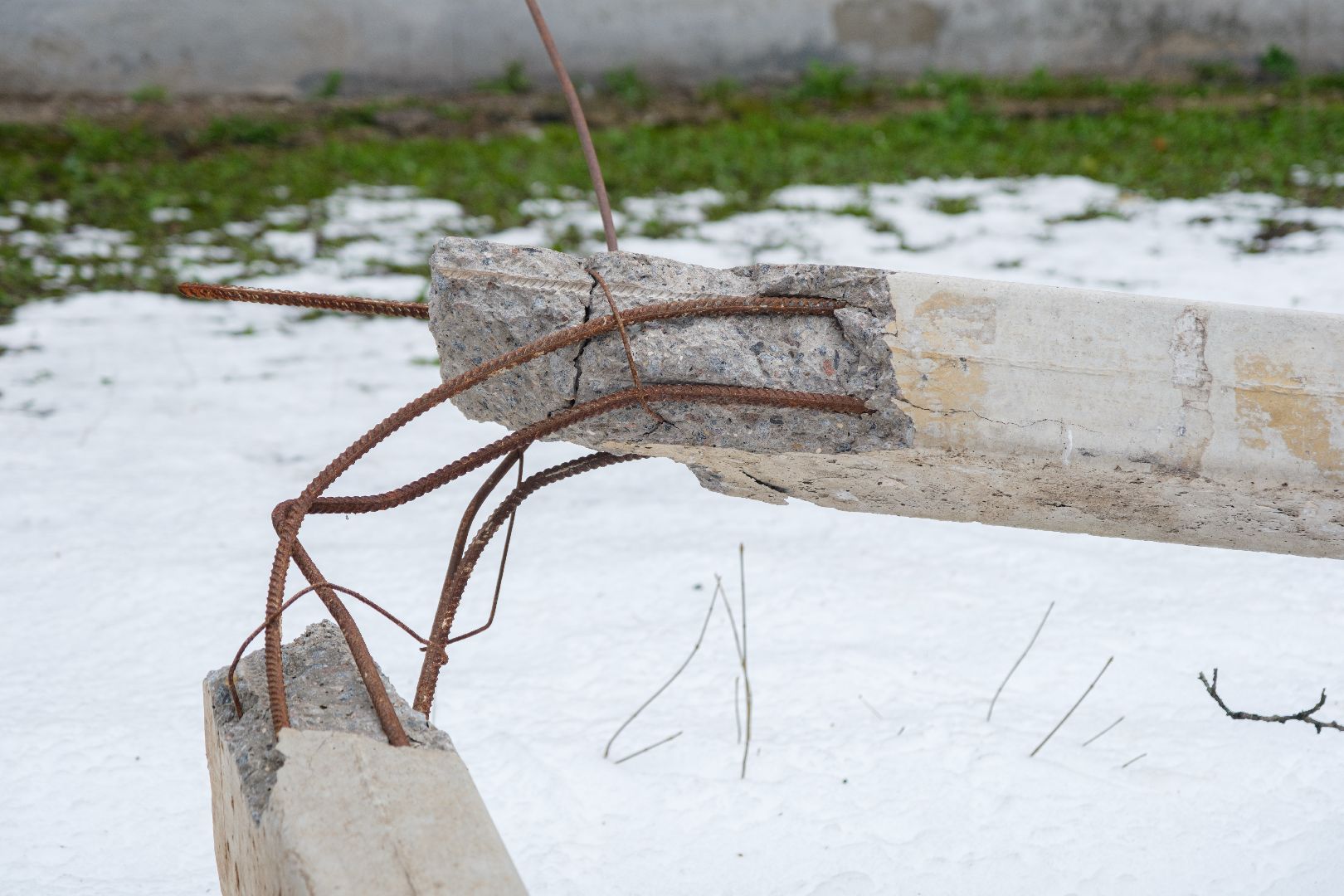 лыткарино, общество, выездная администиация,