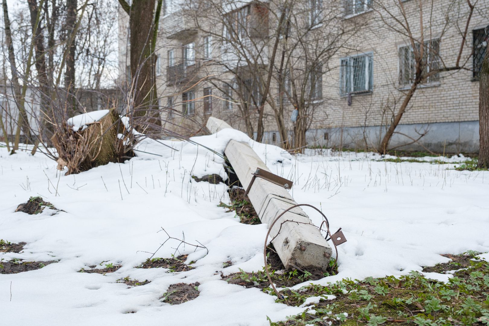 лыткарино, общество, выездная администиация,