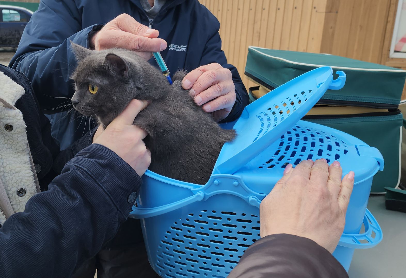 Химки, вакцинация животных, вакцинация от бешенства,