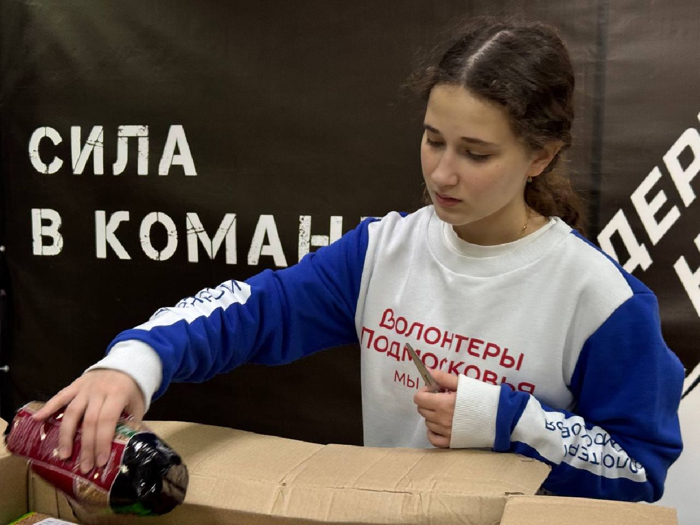 можайск, можайский муниципальный округ, подмосковье, акция, доброе дело, проект, волонтеры подмосковья,