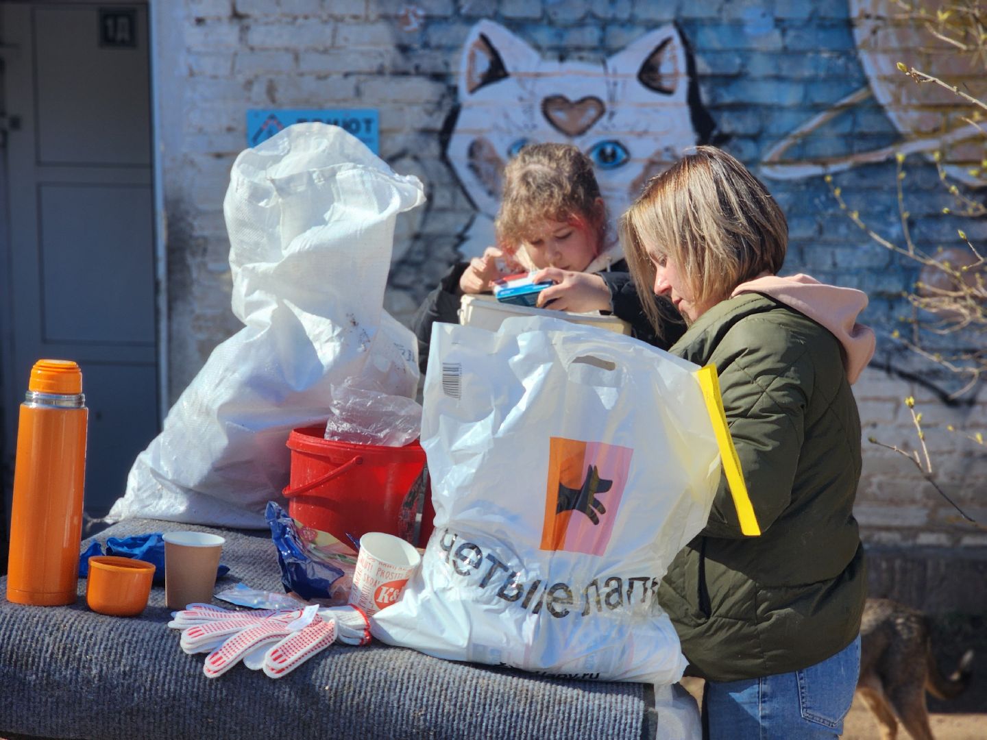 дубна,  приют для собак, верный друг, субботник,