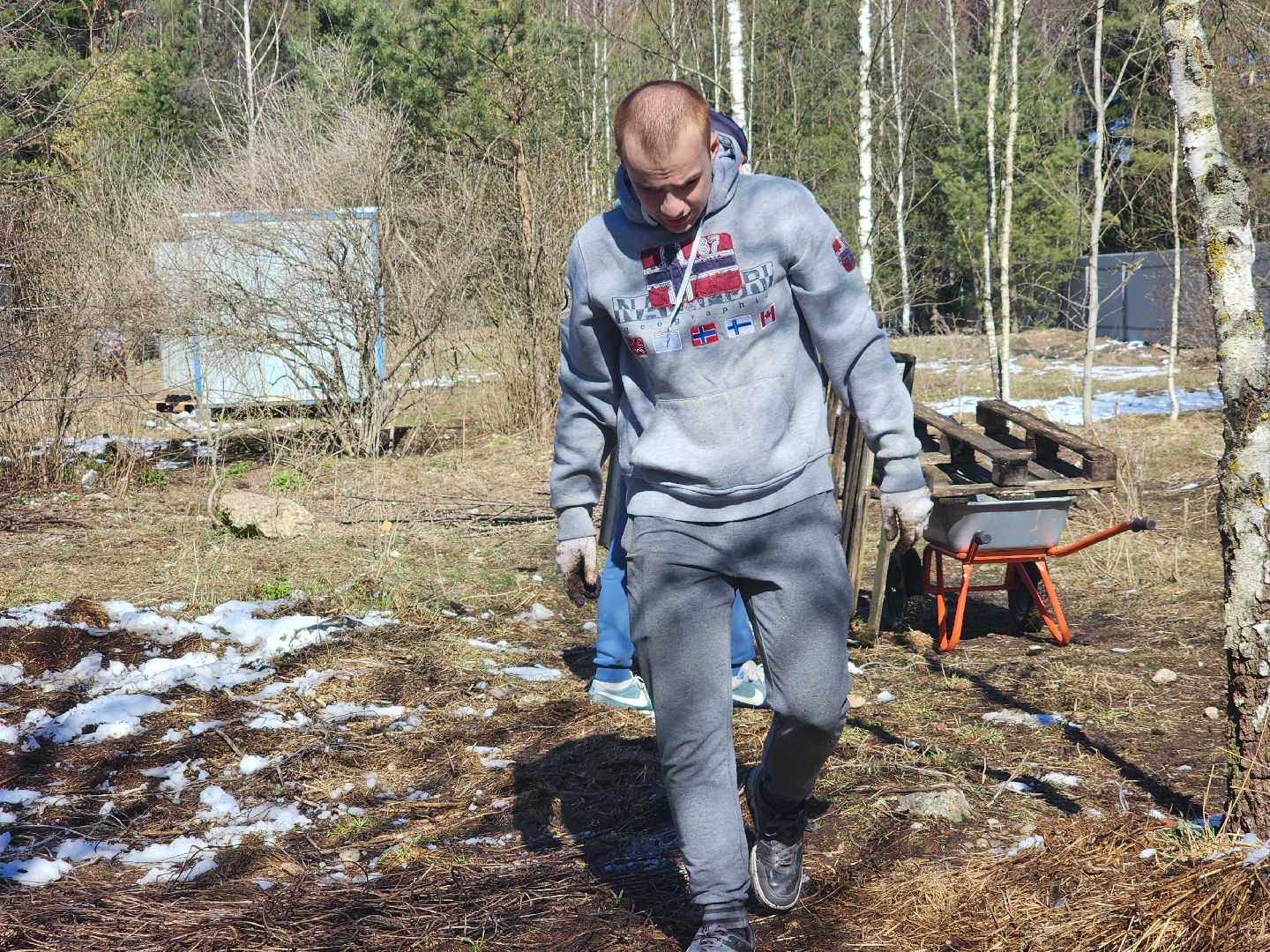 дубна,  приют для собак, верный друг, субботник,
