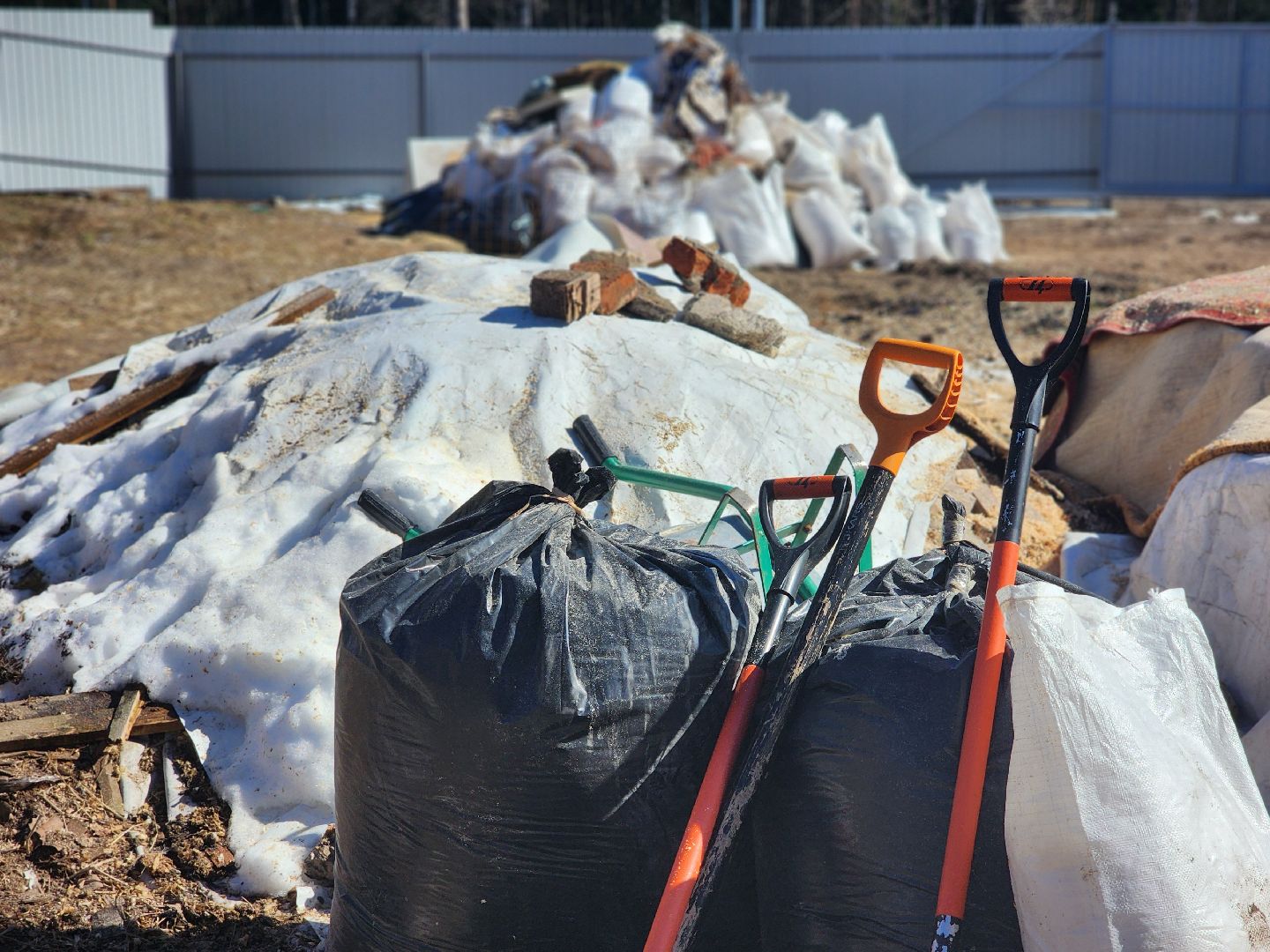 дубна,  приют для собак, верный друг, субботник,