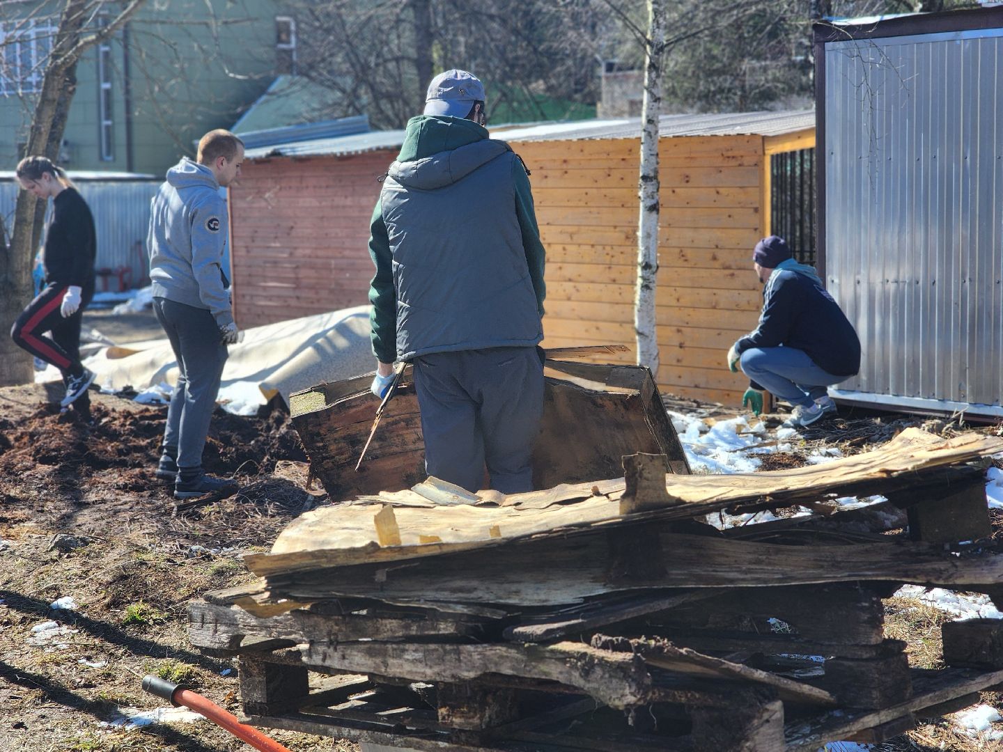 дубна,  приют для собак, верный друг, субботник,