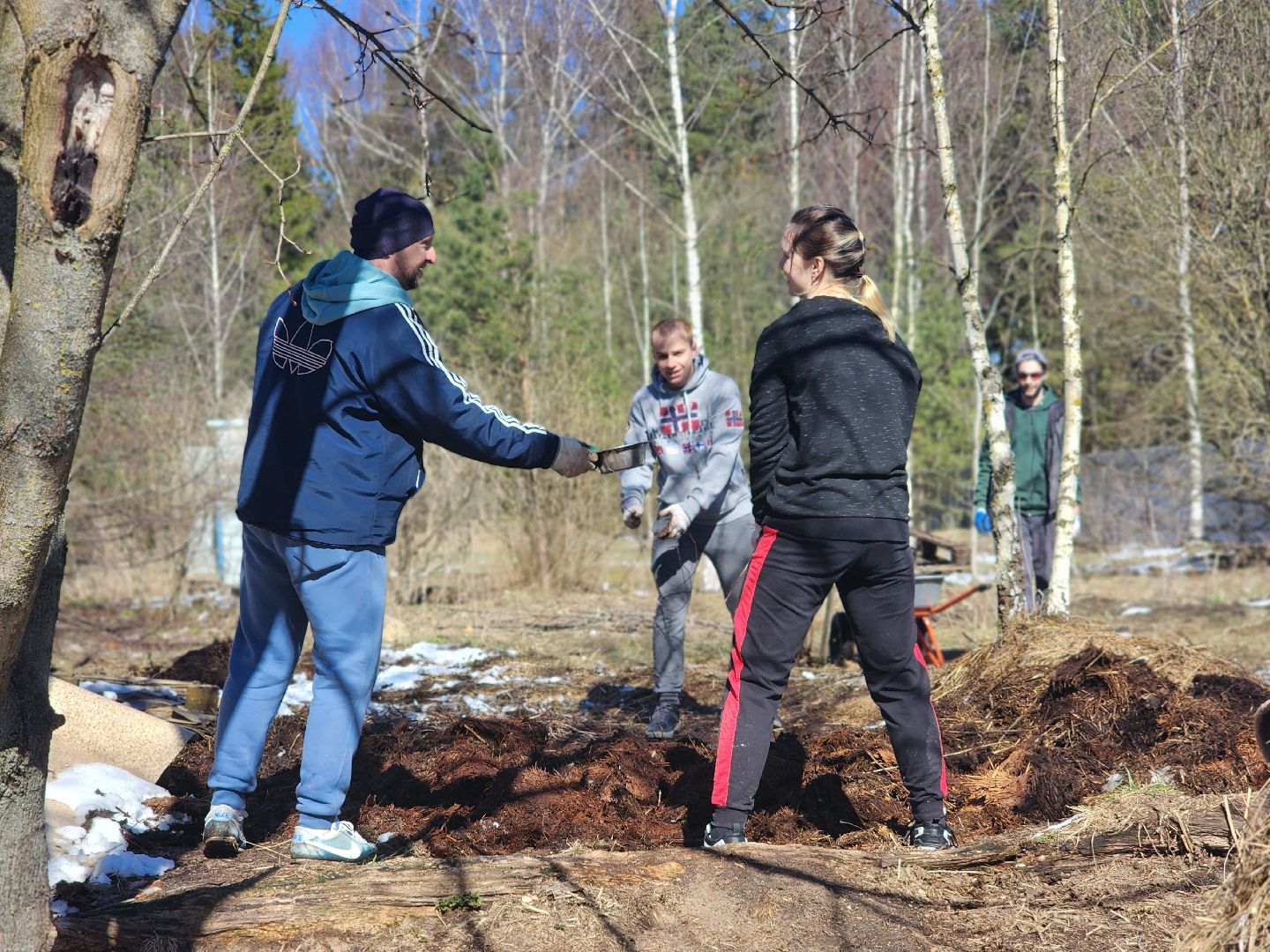 дубна,  приют для собак, верный друг, субботник,