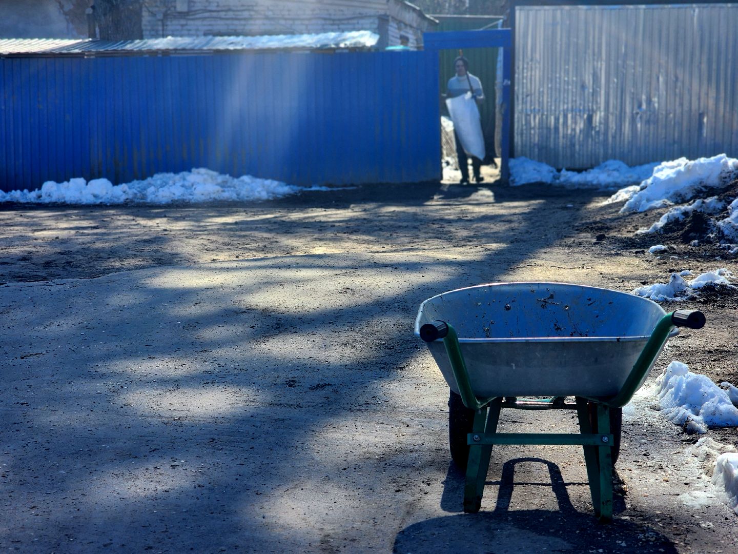 дубна,  приют для собак, верный друг, субботник,