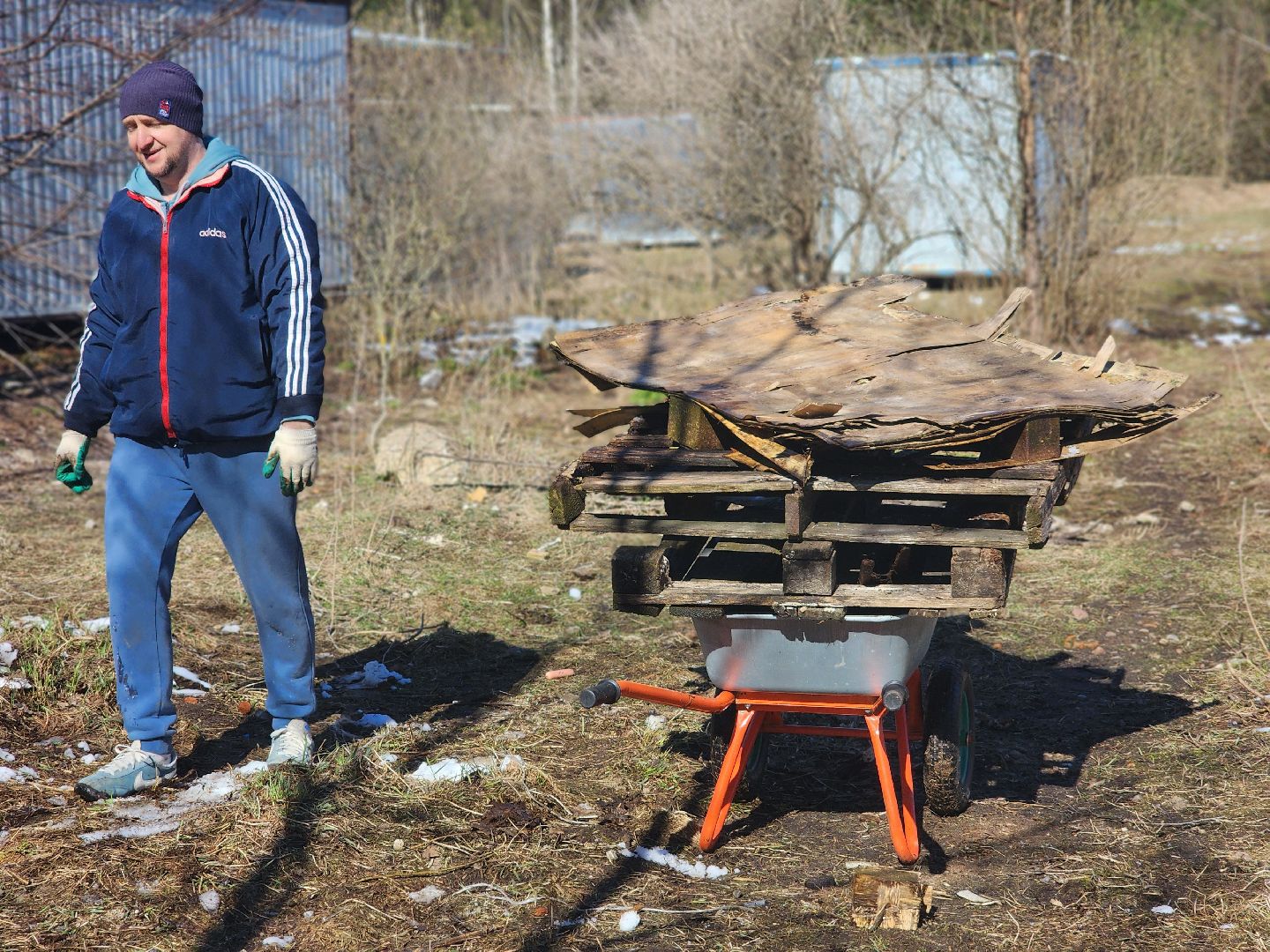 дубна,  приют для собак, верный друг, субботник,
