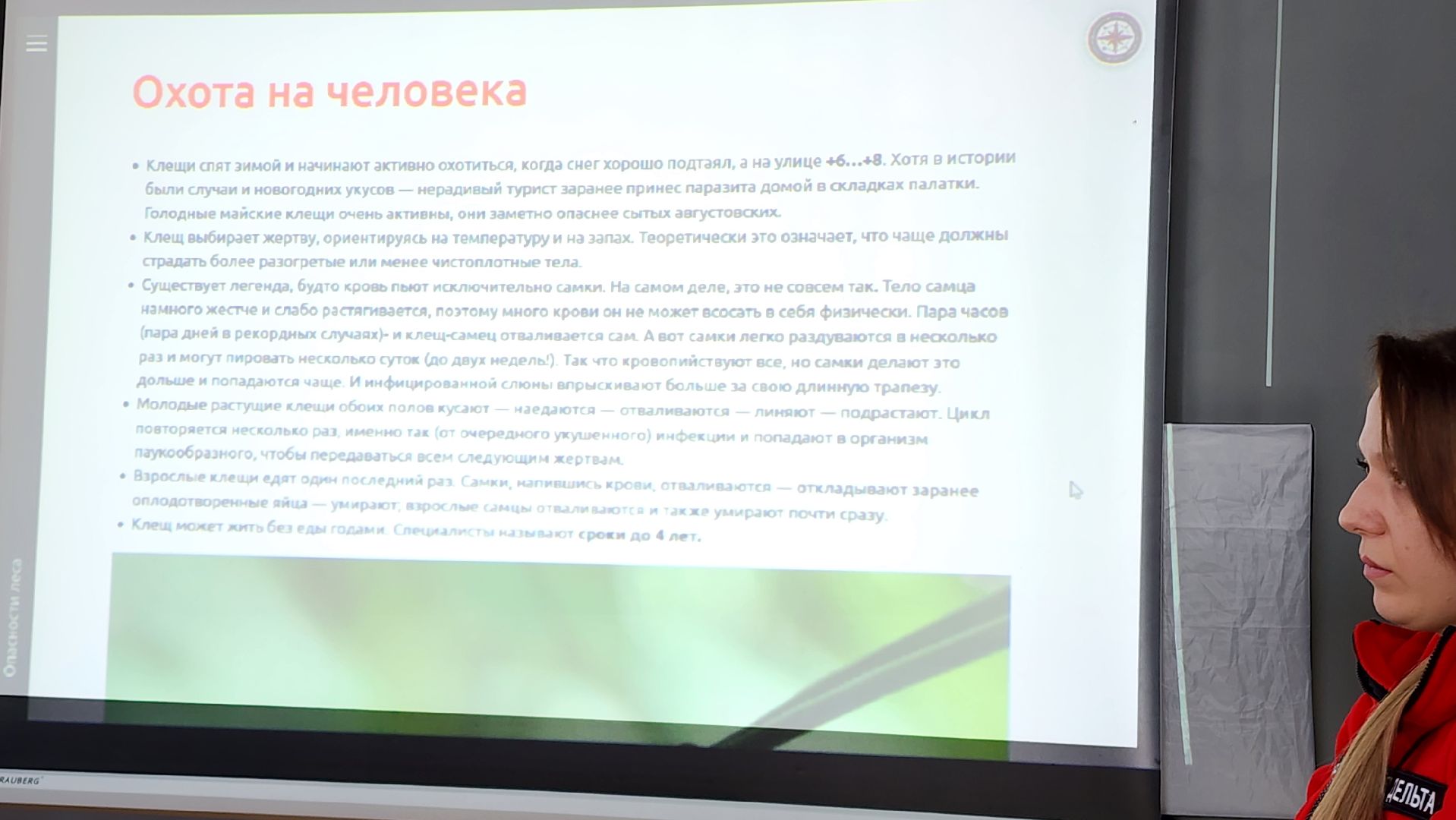 сезон клещей, клещи, природа, лес, экология, здоровье,репеллент,  боррелиоз, энцефалит, домодедово, врач, подмосковье,