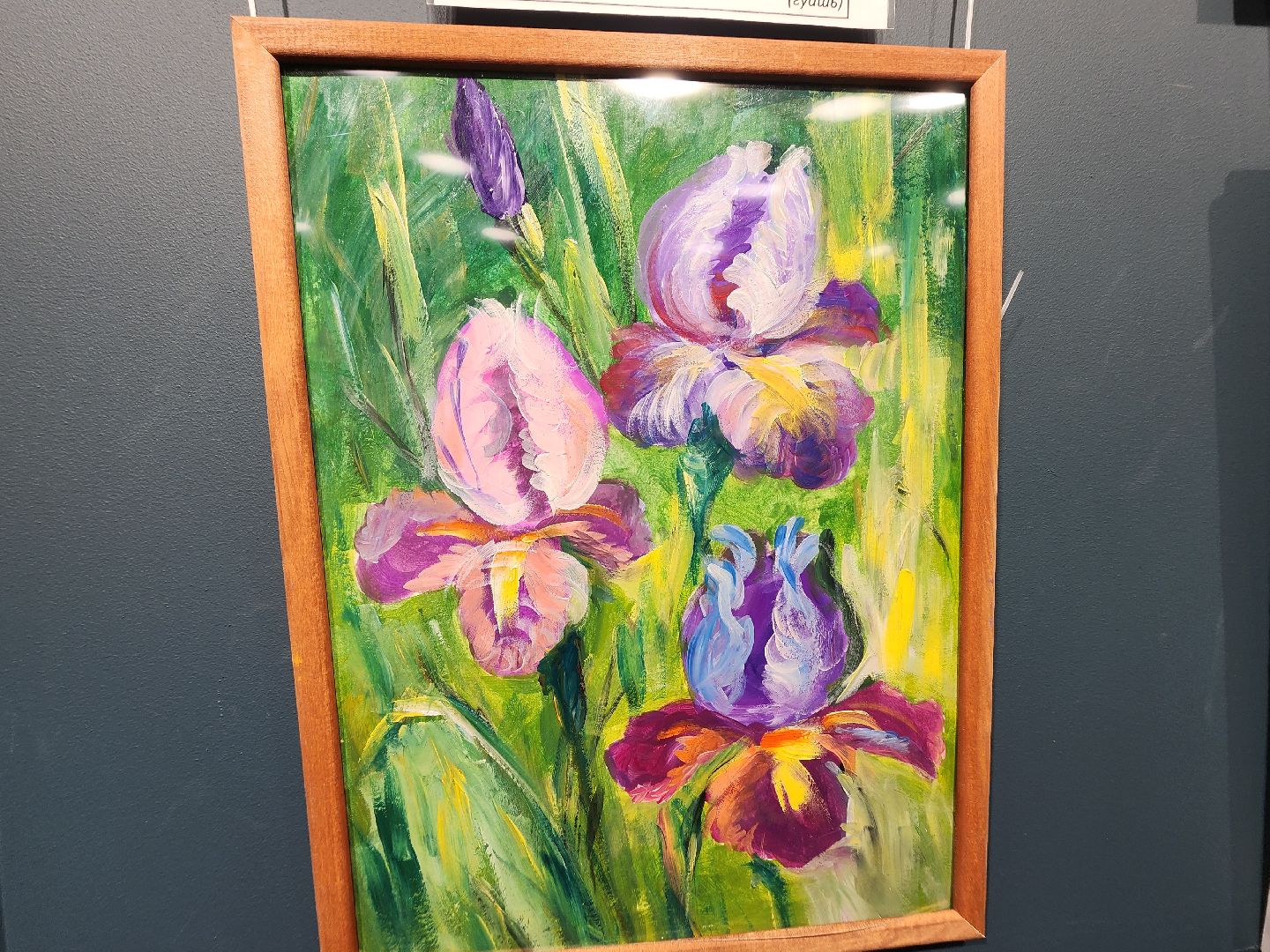 долгопрудный, дмитров, центральная модельная библиотека, активное долголетие, творчество без возраста, художественная выставка, пейзаж, библиотеки,