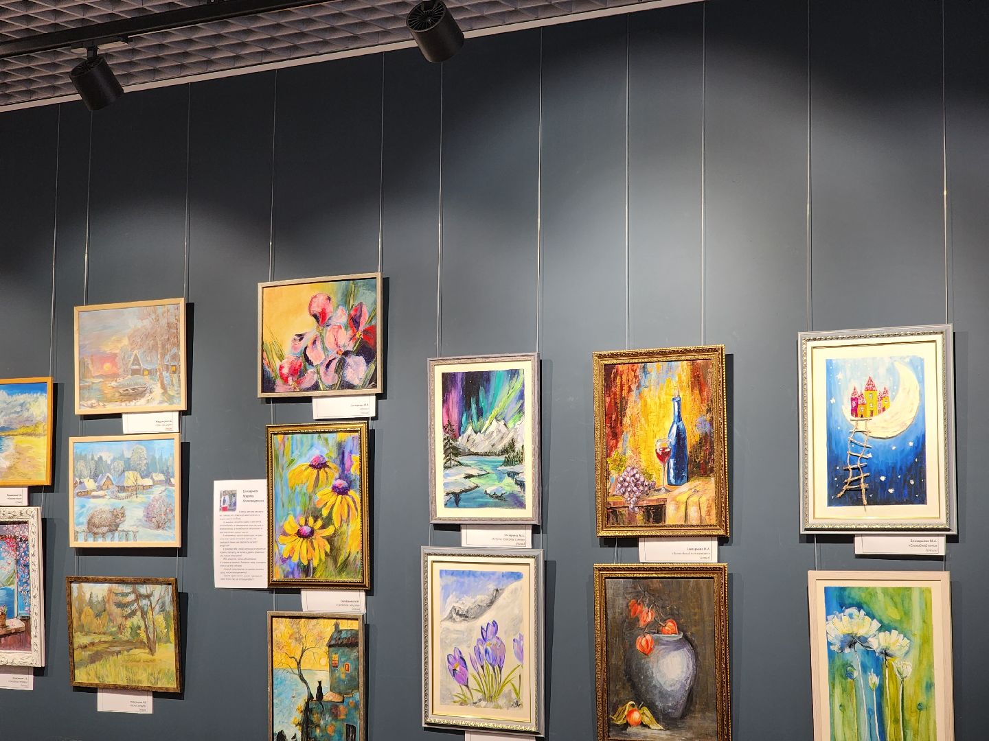 долгопрудный, дмитров, центральная модельная библиотека, активное долголетие, творчество без возраста, художественная выставка, пейзаж, библиотеки,