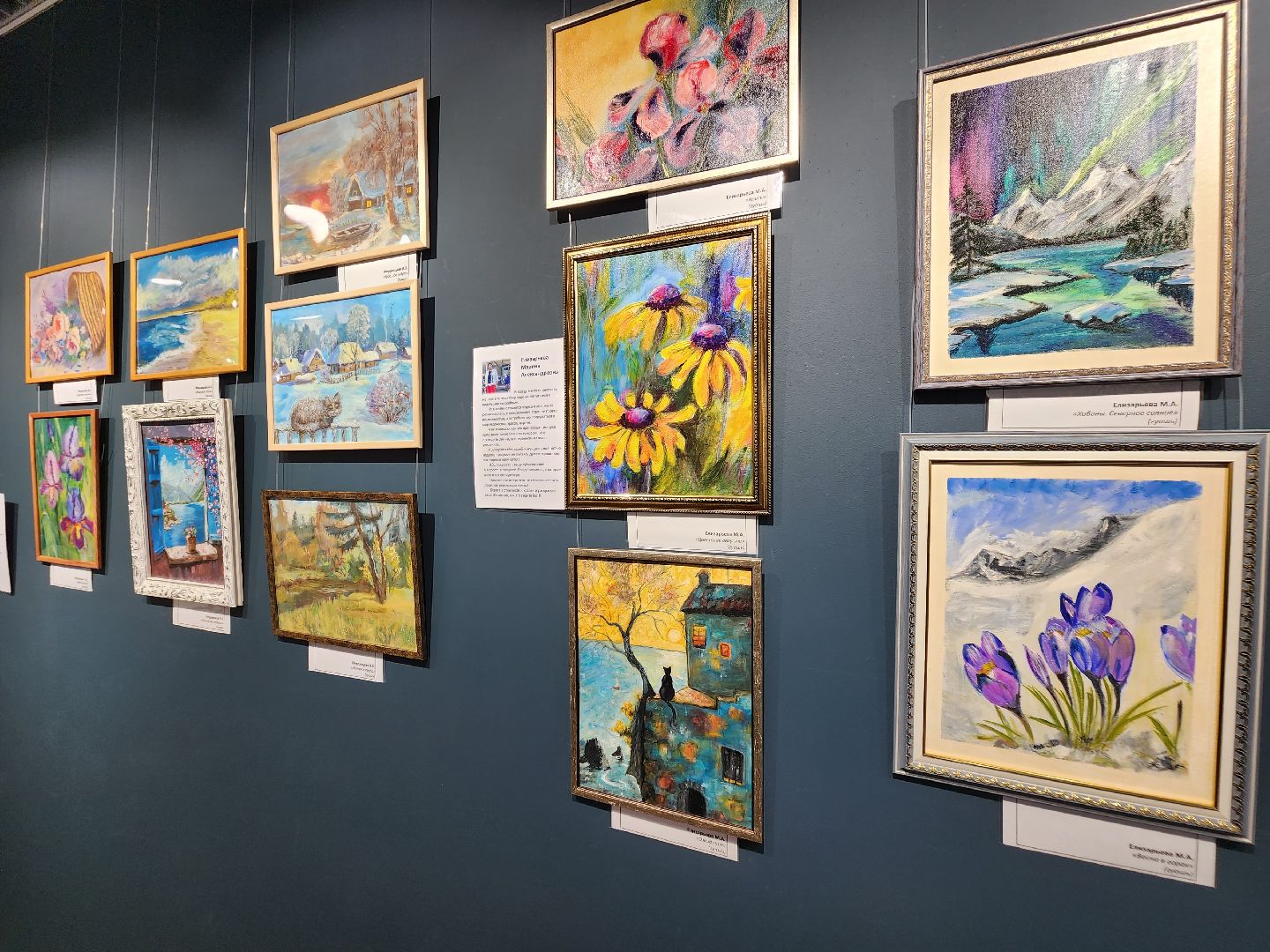 долгопрудный, дмитров, центральная модельная библиотека, активное долголетие, творчество без возраста, художественная выставка, пейзаж, библиотеки,