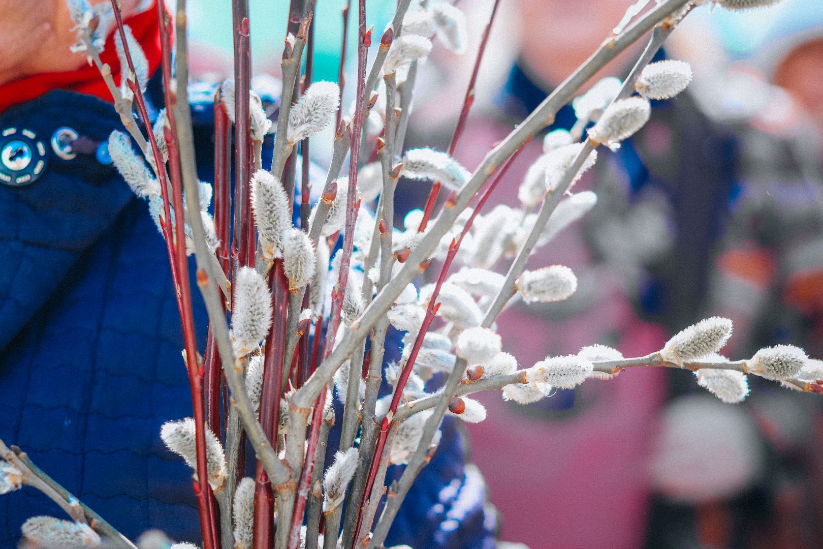 клин, общество, культура, фестивали, колокола, колокольное искусство, музыка, подмосковье,