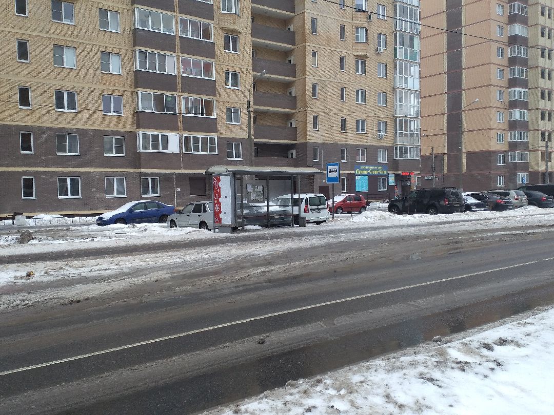 Лосино-Петровск, общество