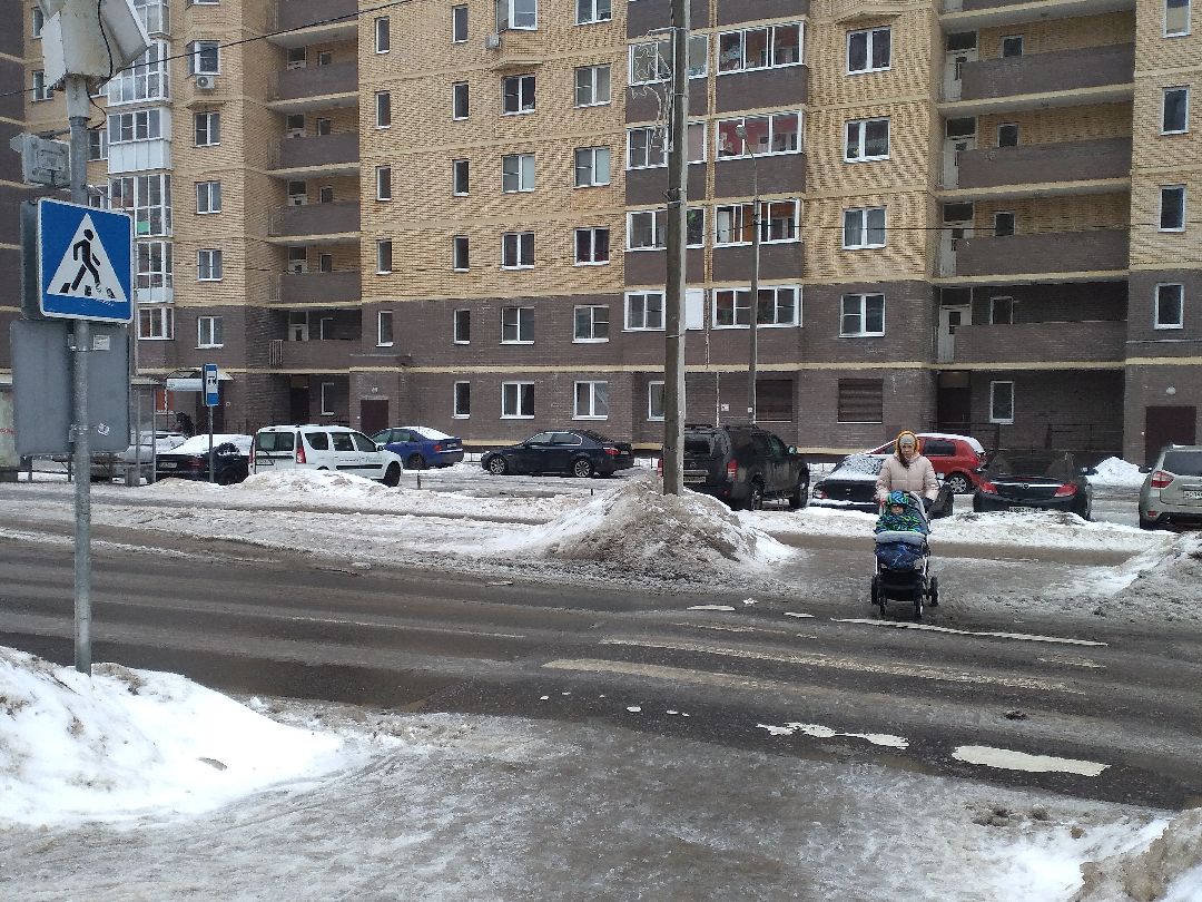 Лосино-Петровск, общество