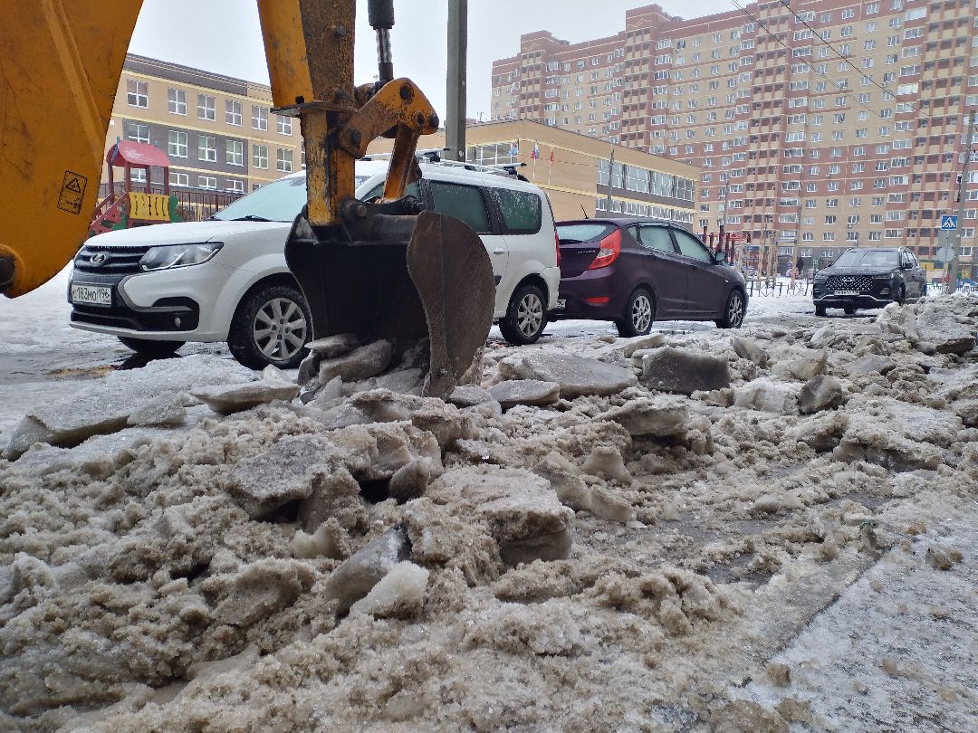 Лосино-Петровск, общество
