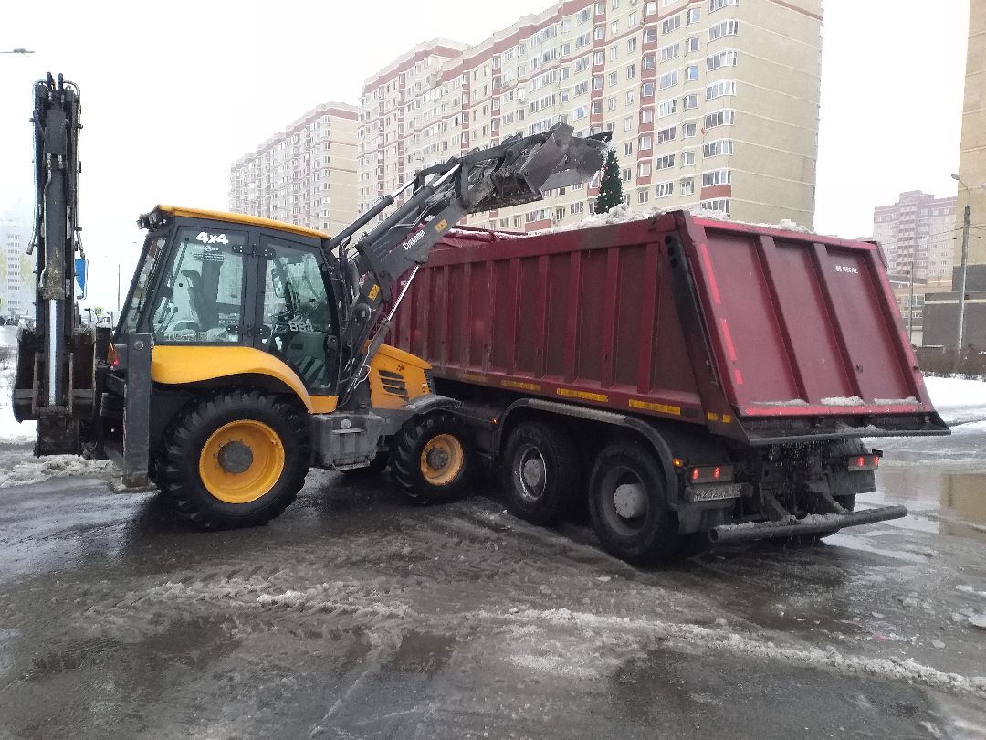 Лосино-Петровск, общество