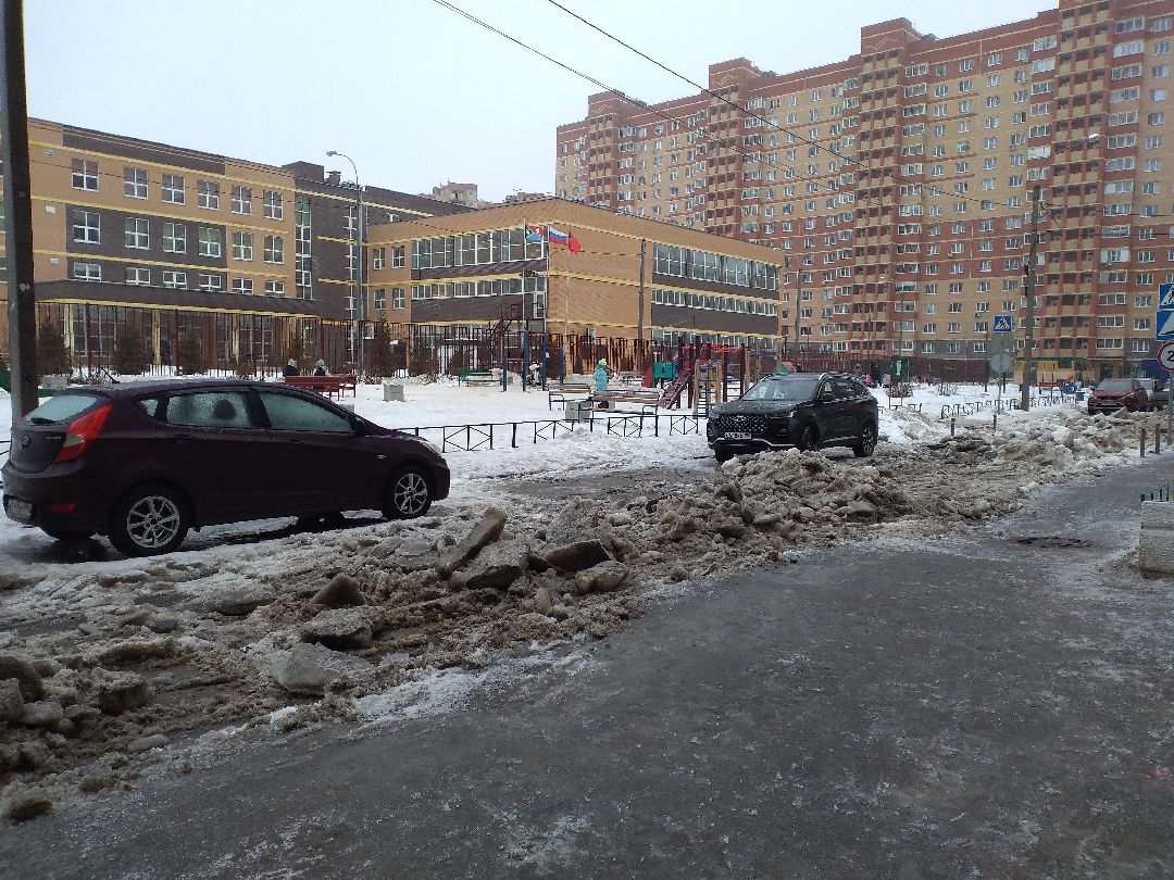 Лосино-Петровск, общество