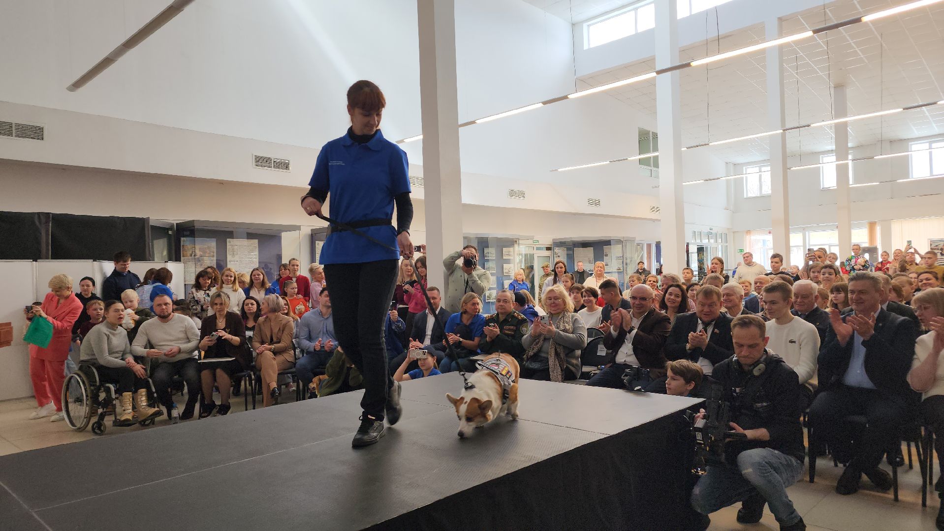 волонтеры, собаки, дети с овз, Лосино-Петровский,