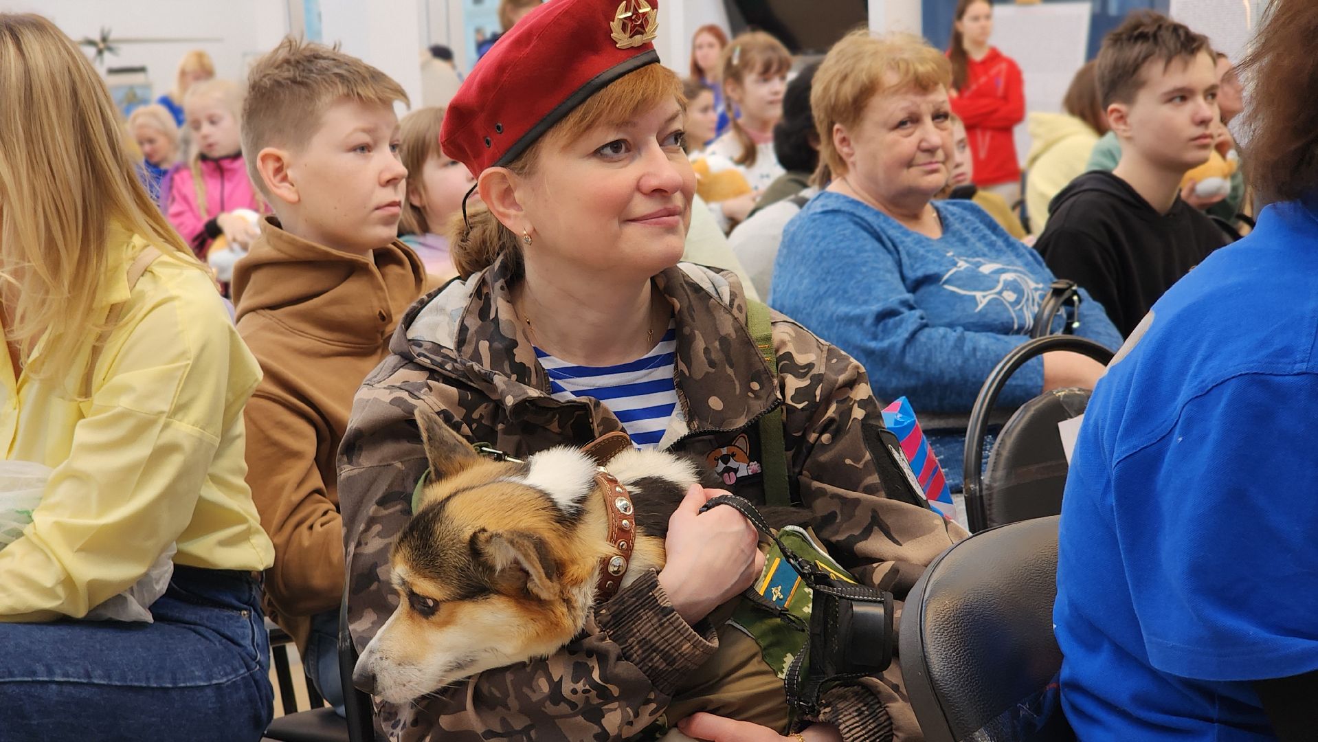волонтеры, собаки, дети с овз, Лосино-Петровский,