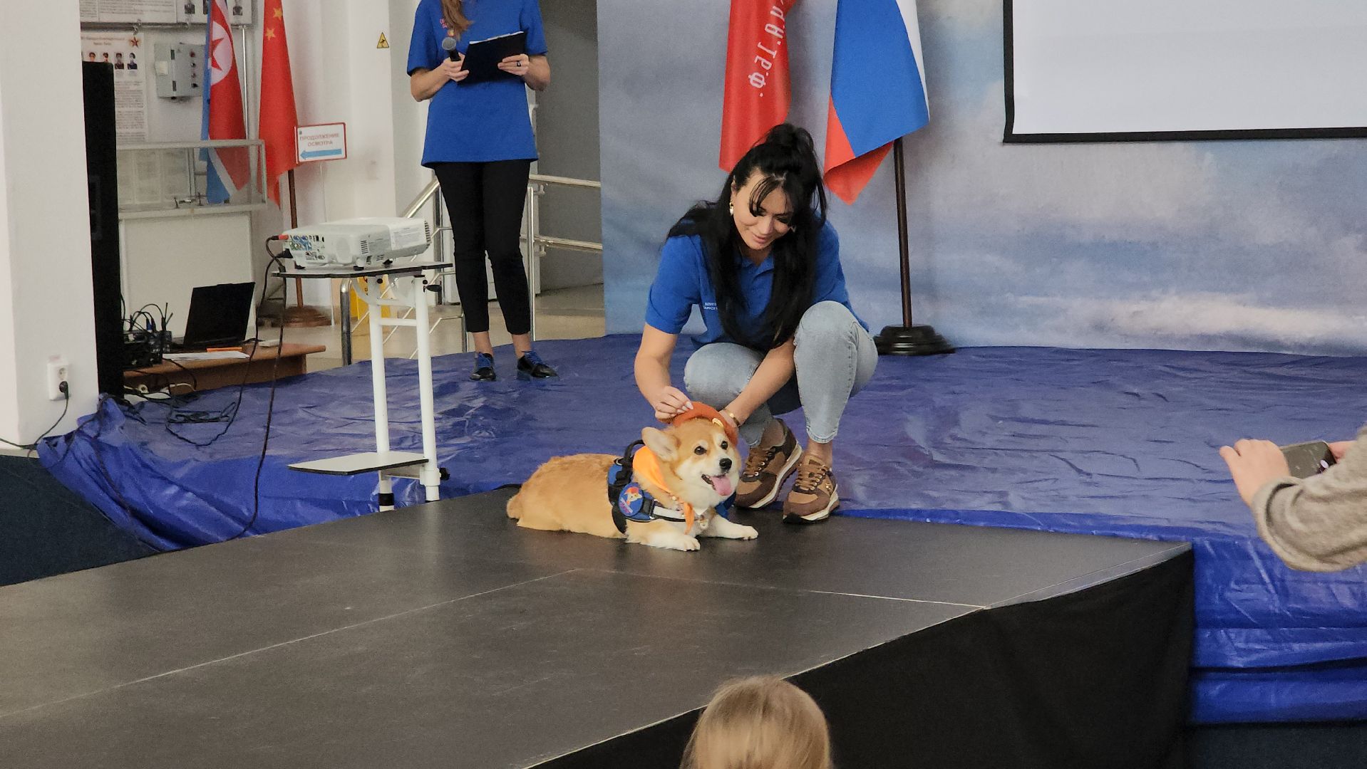 волонтеры, собаки, дети с овз, Лосино-Петровский,