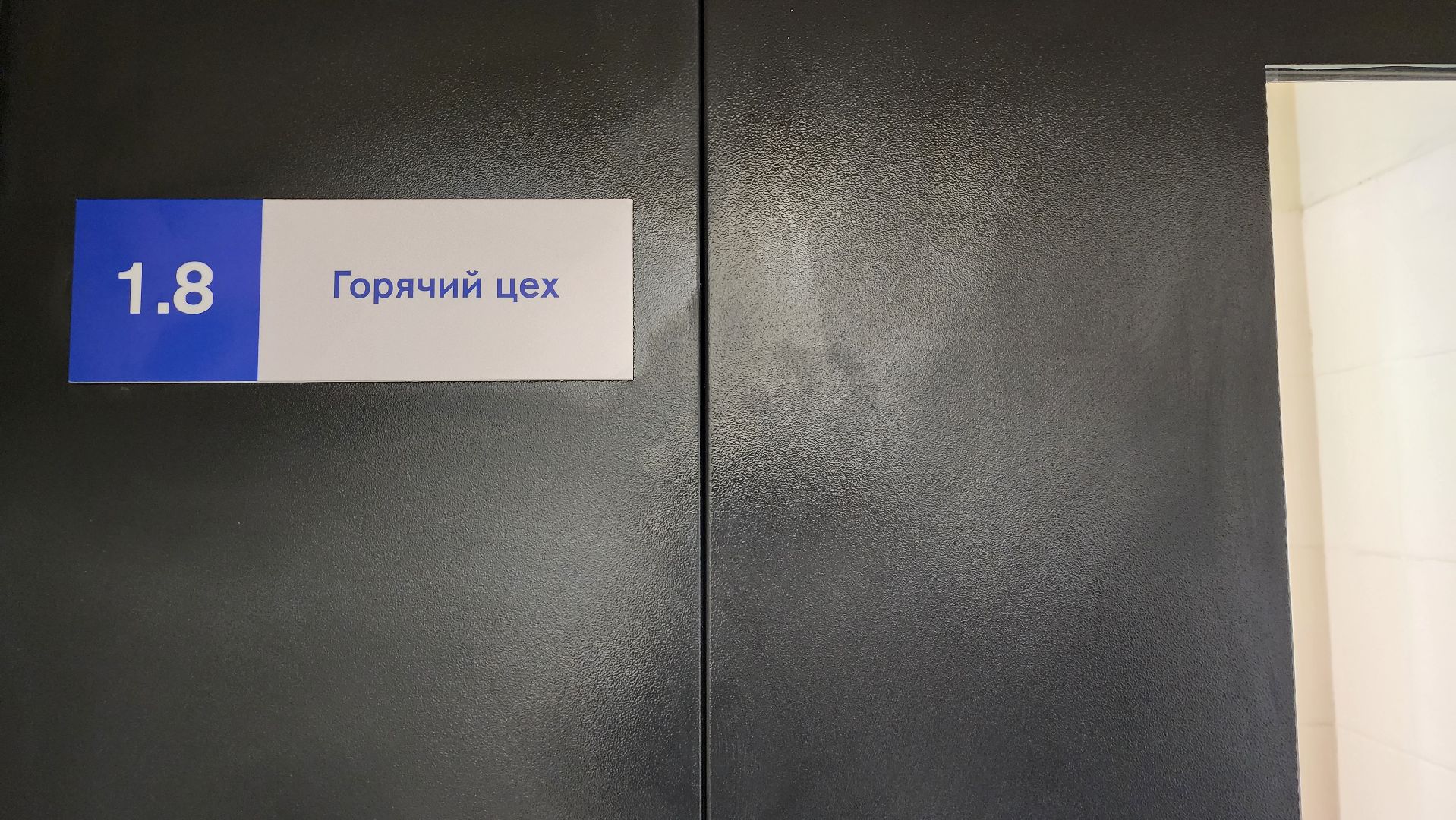 детский сад , сад-новостройка,  центр образования, Ногинск, Богородский городской округ,