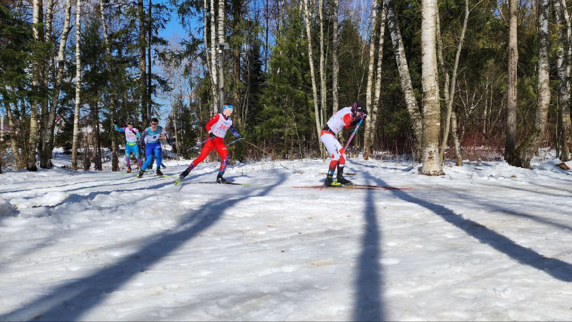 Дмитров, Габовская лыжня, Минспорта,Лыжный марафон,