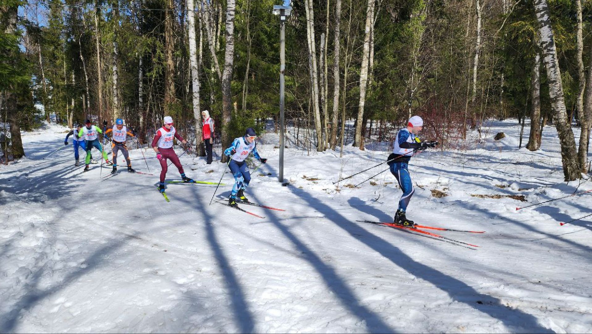 Дмитров, Габовская лыжня, Минспорта,Лыжный марафон,