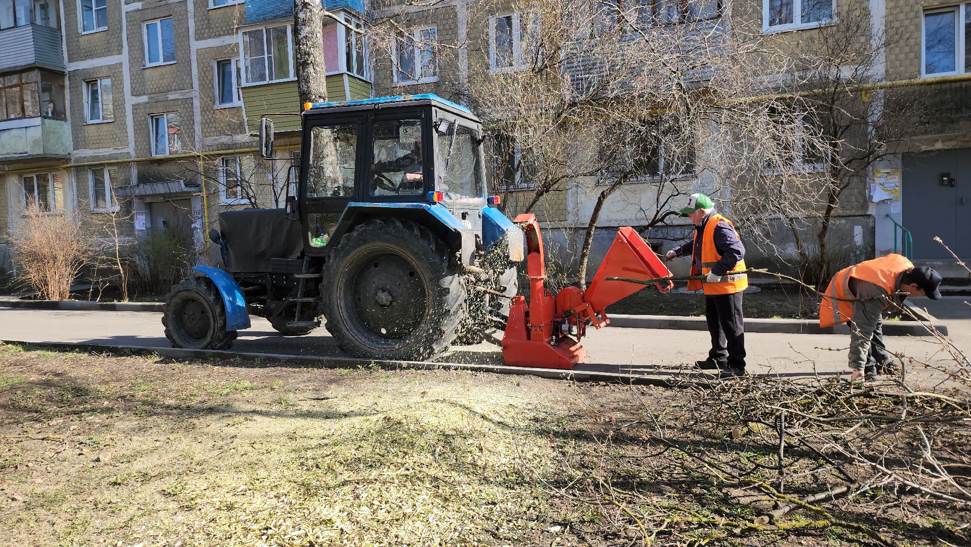 серпухов, подмосковье, убрали дерево,
