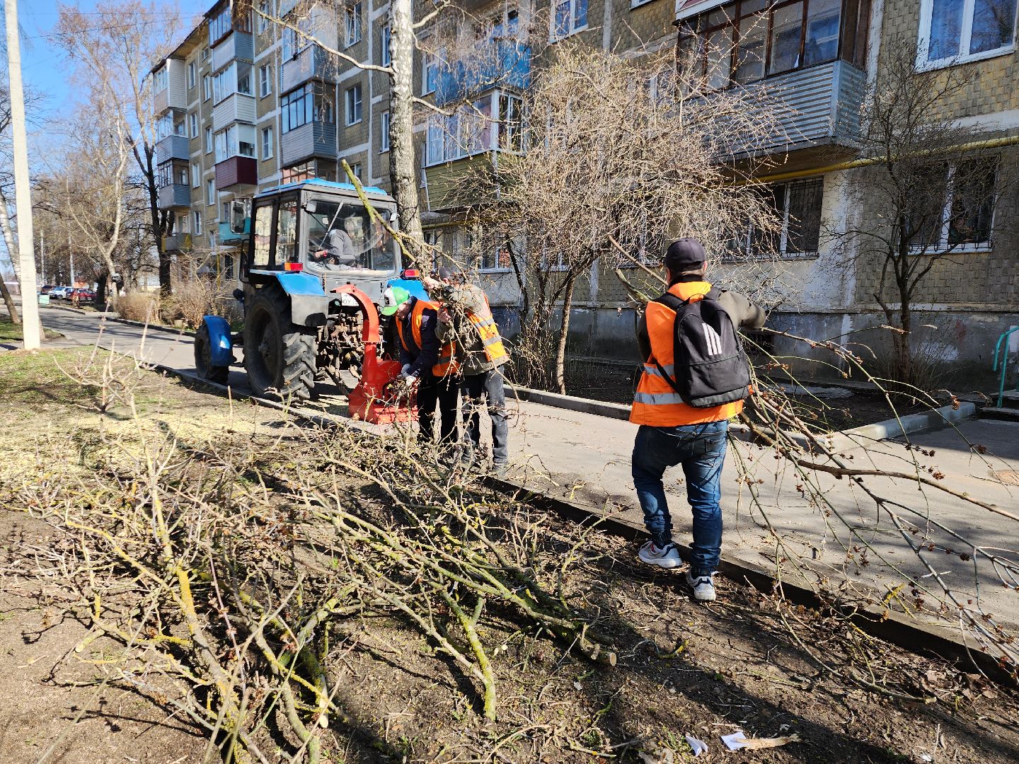 серпухов, подмосковье, убрали дерево,