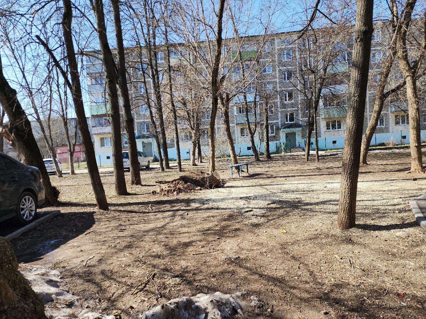 серпухов, подмосковье, убрали дерево,