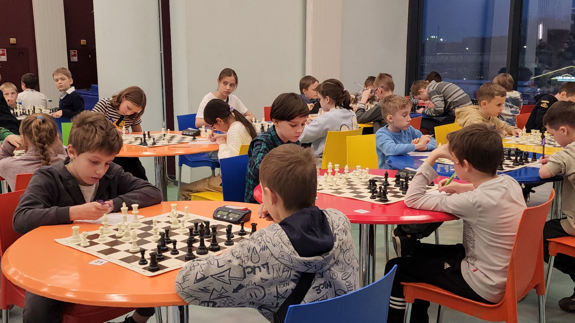 вертикалки, пушкино, шахматисты, шахматный турнир, дети, победители, шахматный клуб,