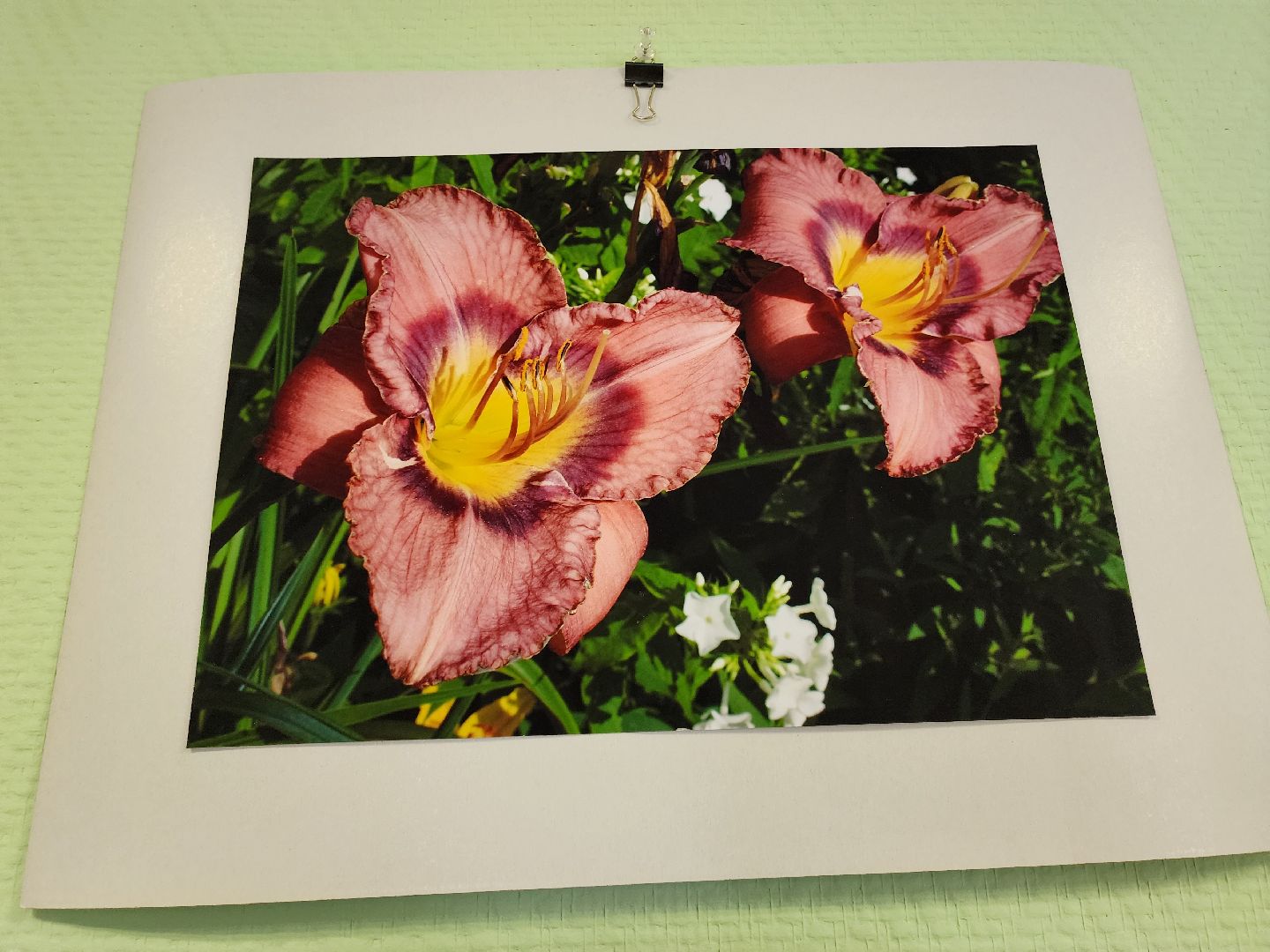 цветы, шатура, шатурский краеведческий музей, светлана астахова, выставка,