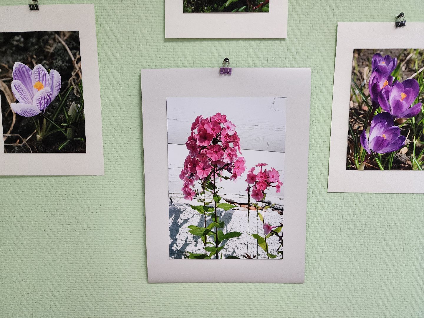 цветы, шатура, шатурский краеведческий музей, светлана астахова, выставка,