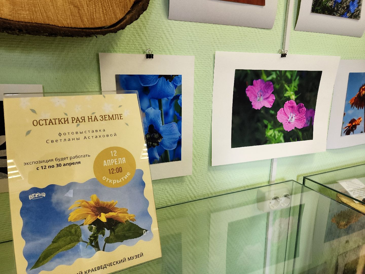цветы, шатура, шатурский краеведческий музей, светлана астахова, выставка,