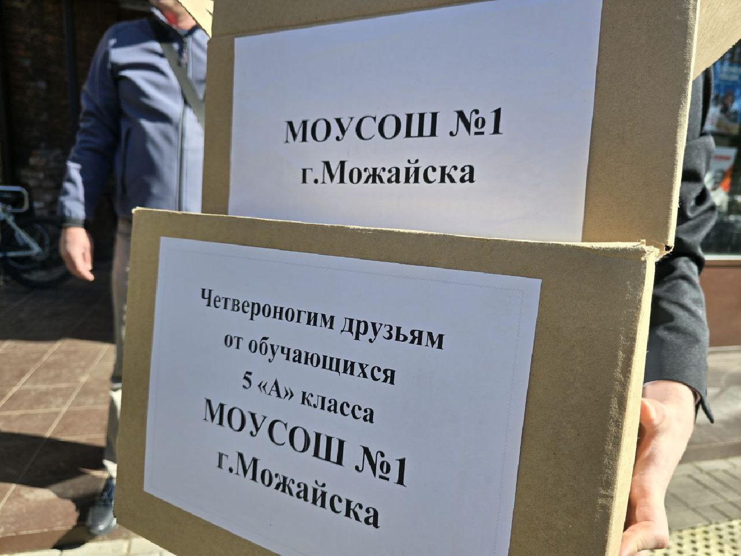 можайск, можайский муниципальный округ, подмосковье,  приют для бездомных животных, помощь, волонтеры,