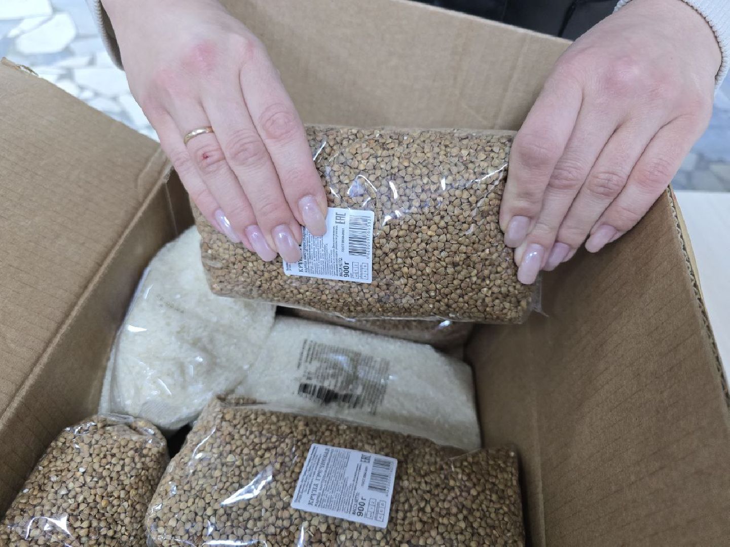 можайск, можайский муниципальный округ, подмосковье,  приют для бездомных животных, помощь, волонтеры,