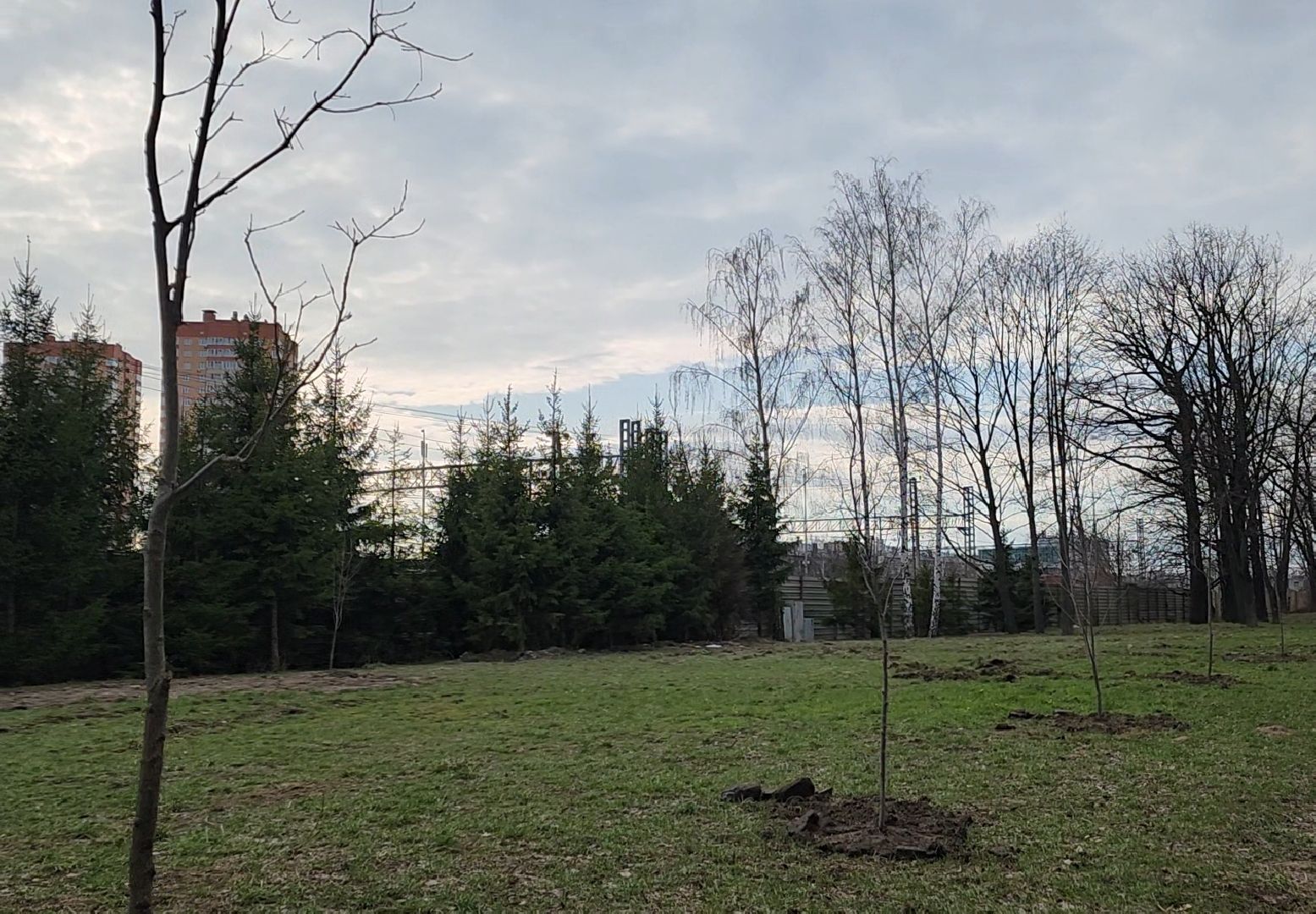 Благоустройство, Лес, Деревья, Кустарники,