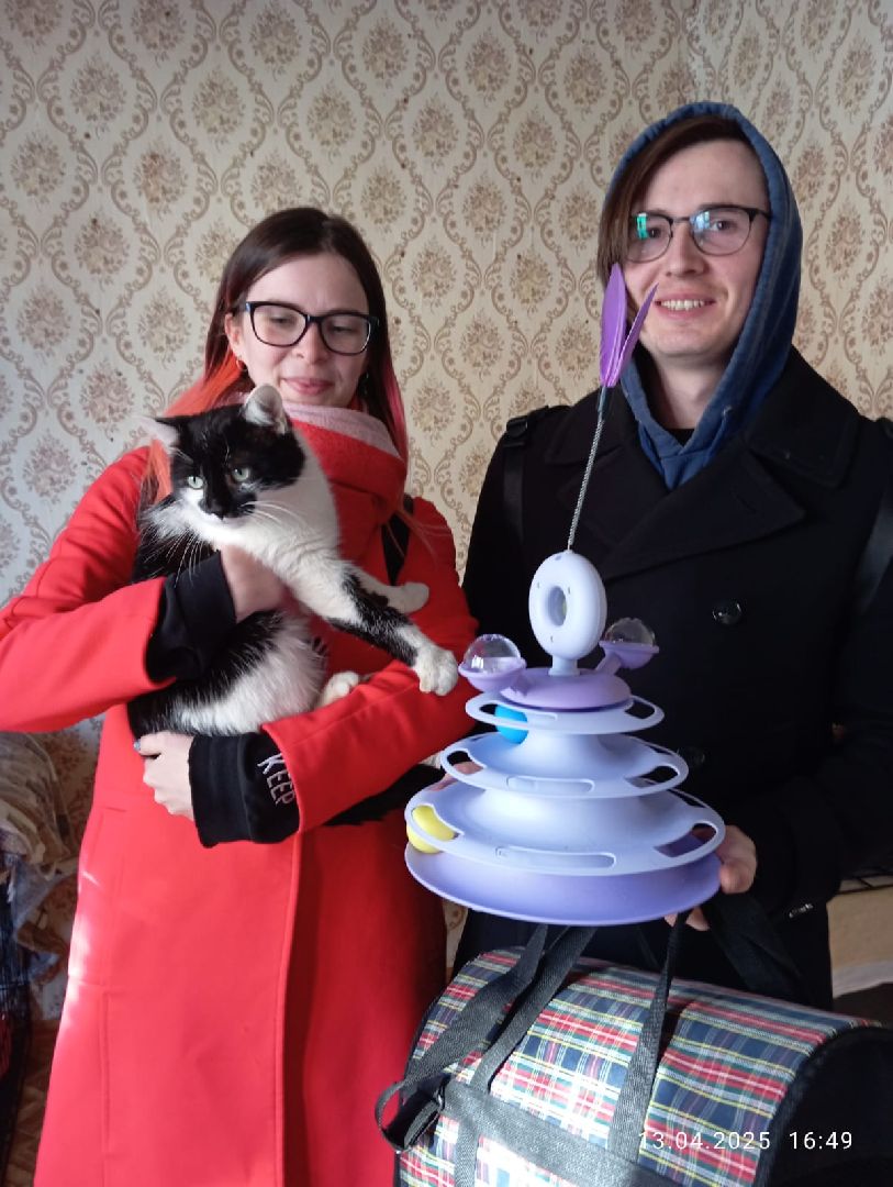 пушкино, волонтер, пушкино парк, бездомные животные, кошки, собаки,  пристройство,