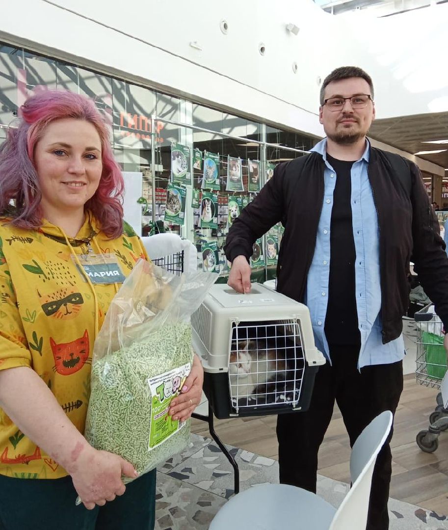 пушкино, волонтер, пушкино парк, бездомные животные, кошки, собаки,  пристройство,