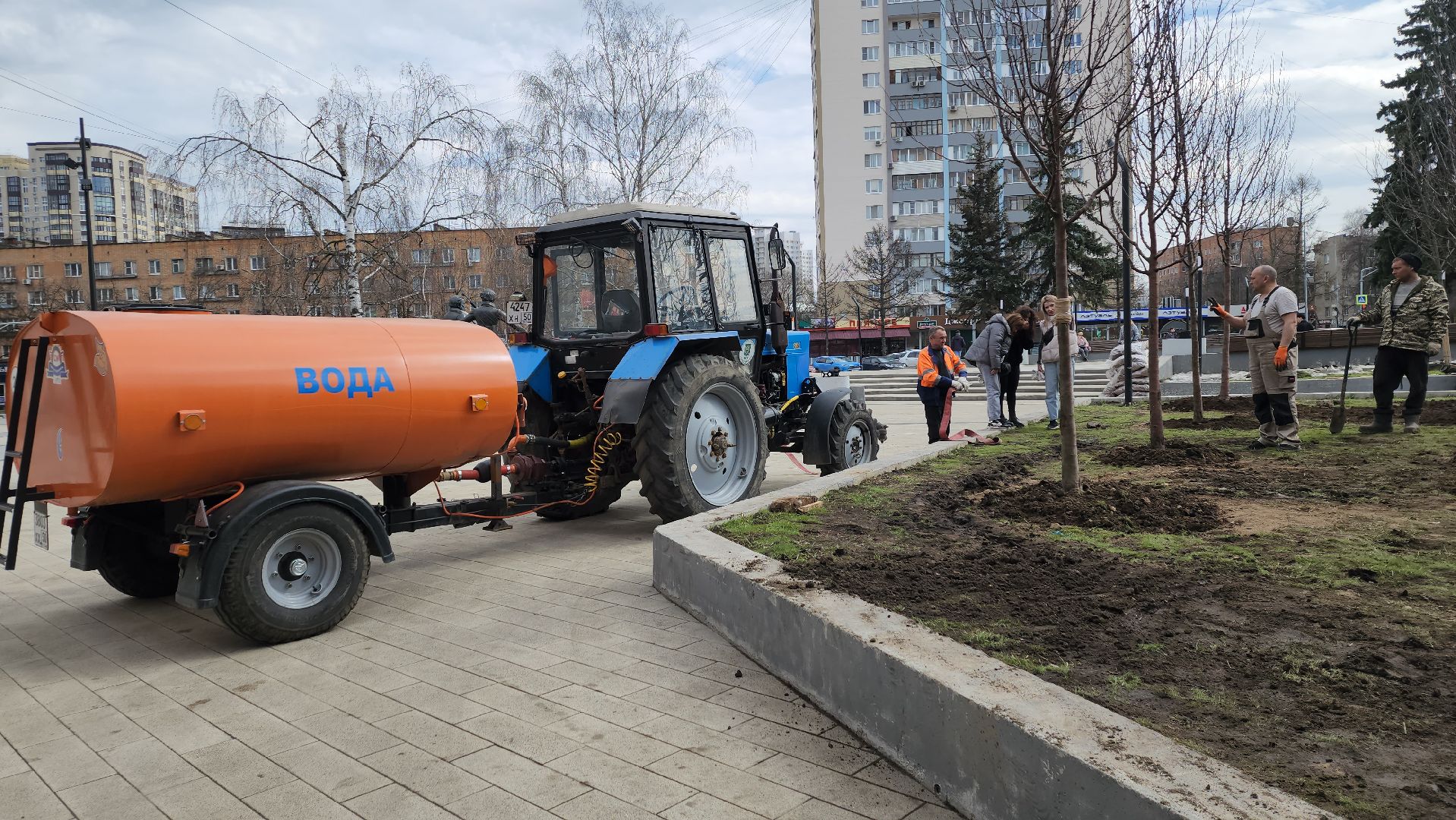 пушкино, высадка деревьев, 80 - летие победы,яблоневый сад, яблони, благоустройство, вертикалки, коммунальное предприятие,сад победы,