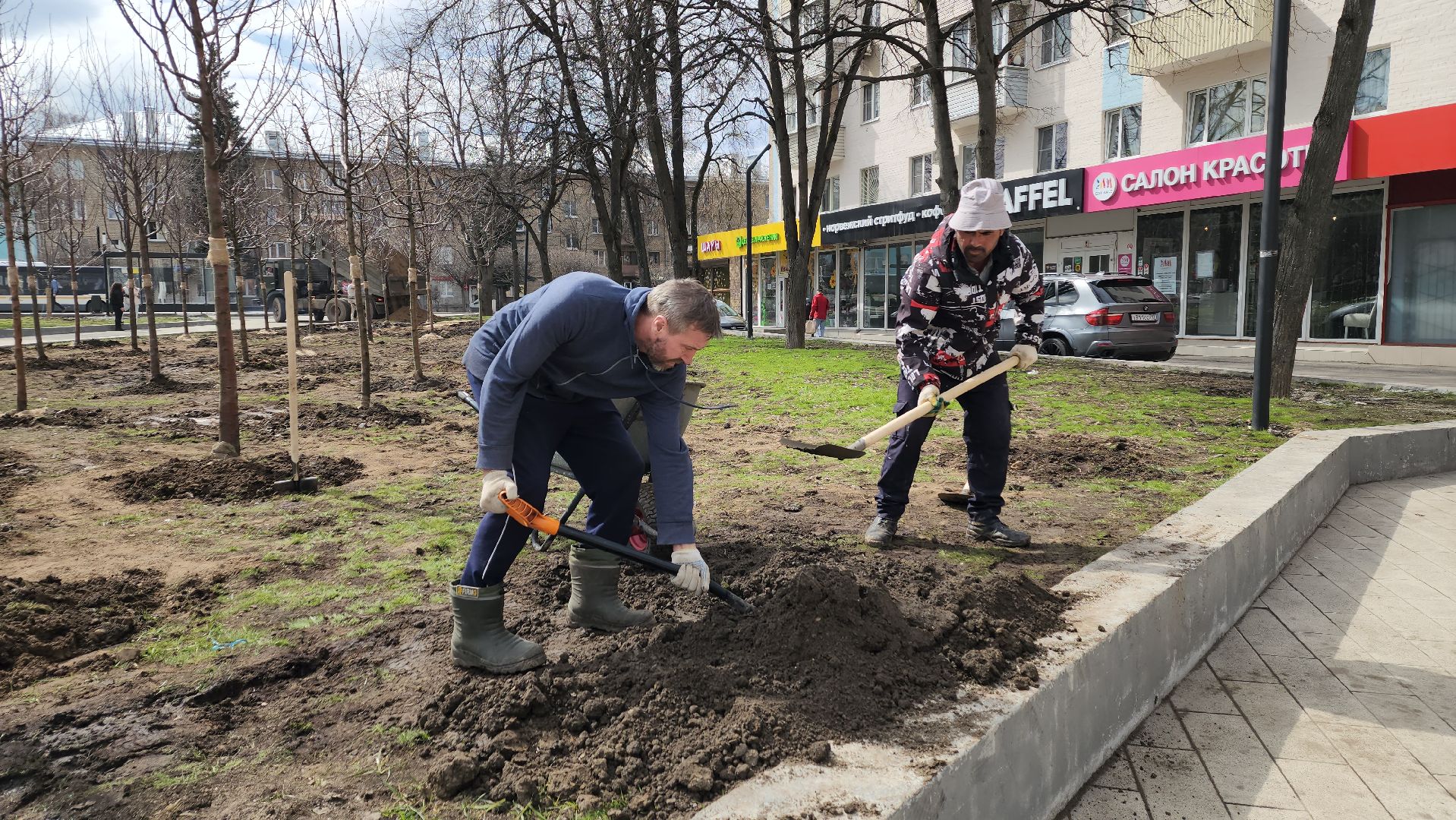 пушкино, высадка деревьев, 80 - летие победы,яблоневый сад, яблони, благоустройство, вертикалки, коммунальное предприятие,сад победы,
