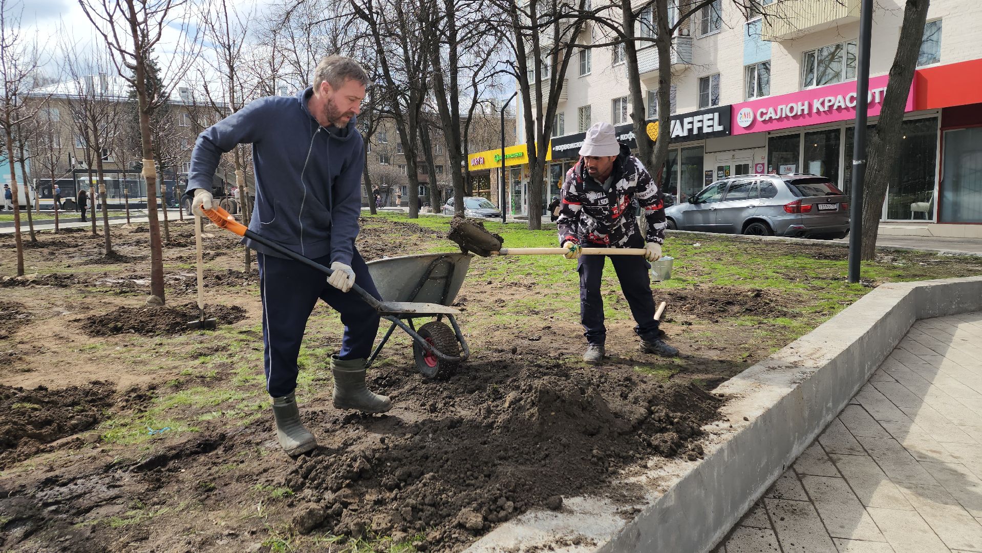 пушкино, высадка деревьев, 80 - летие победы,яблоневый сад, яблони, благоустройство, вертикалки, коммунальное предприятие,сад победы,