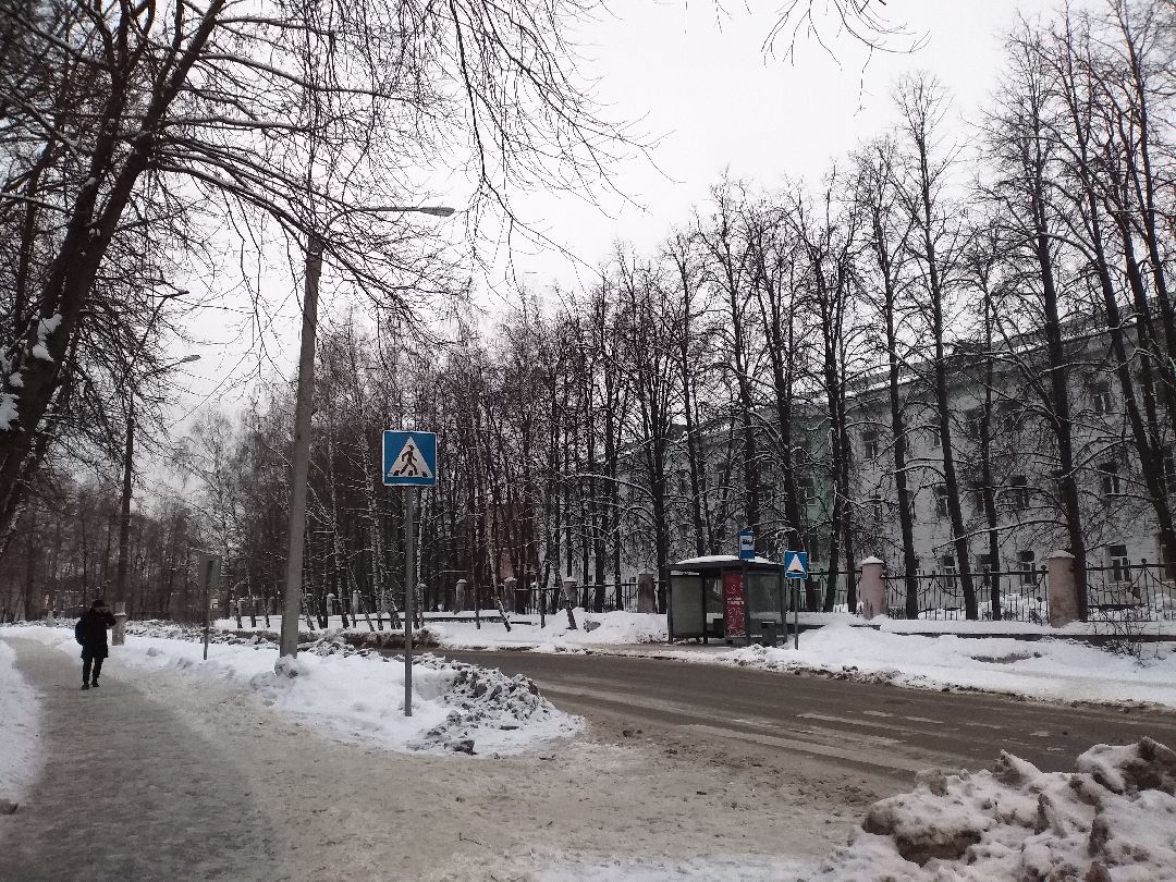 Лосино-Петровский, общество