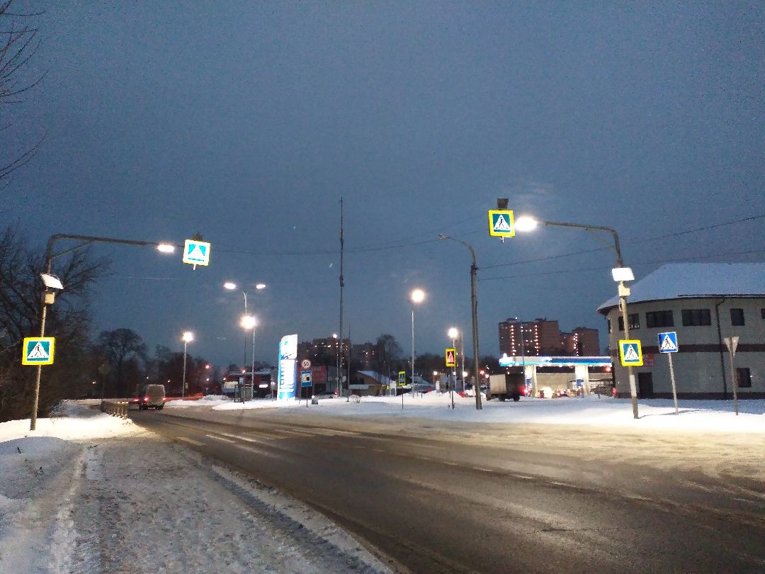 Лосино-Петровский, общество