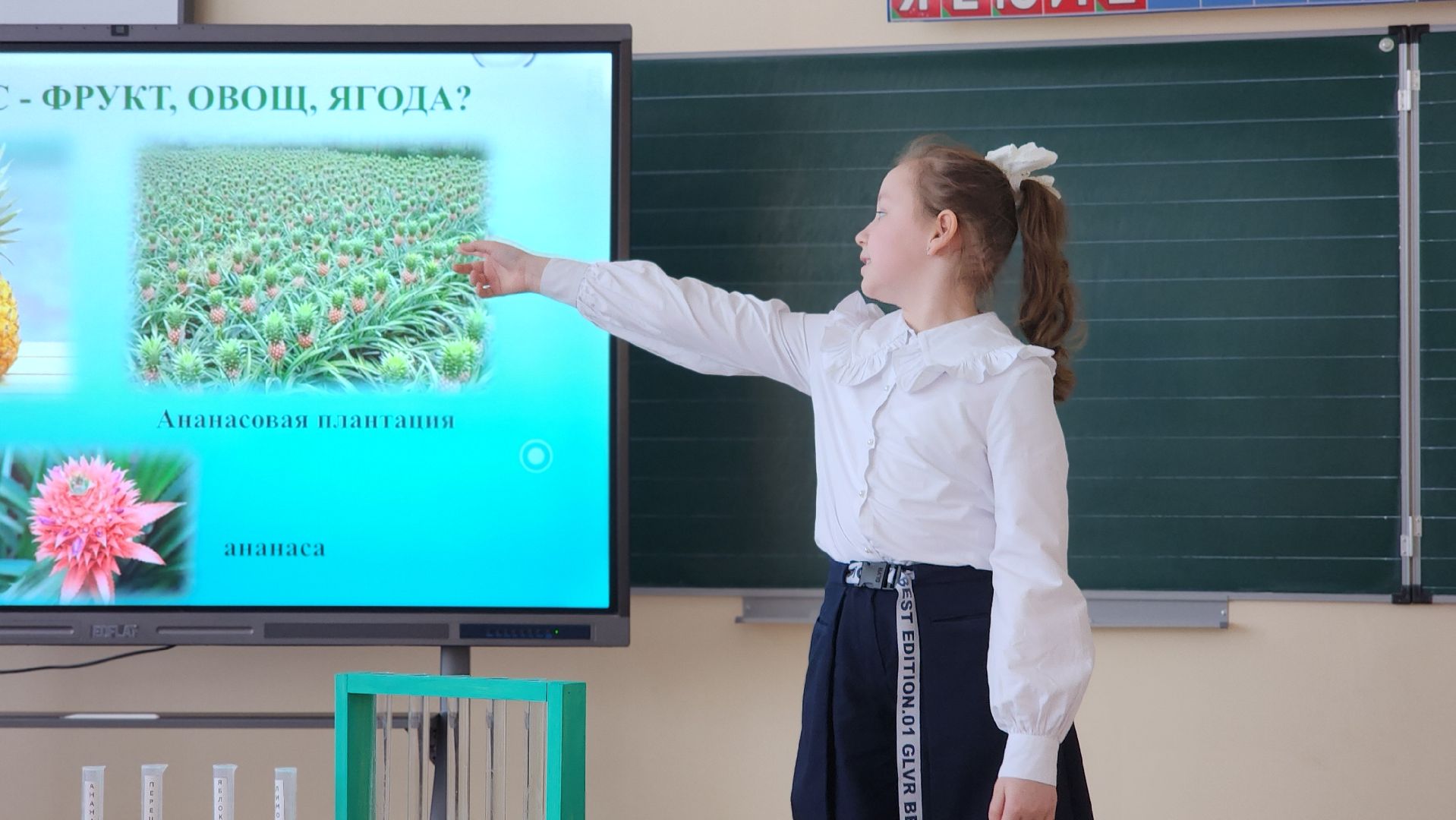 волоколамск, открытие-2025, конкурс научных работ,