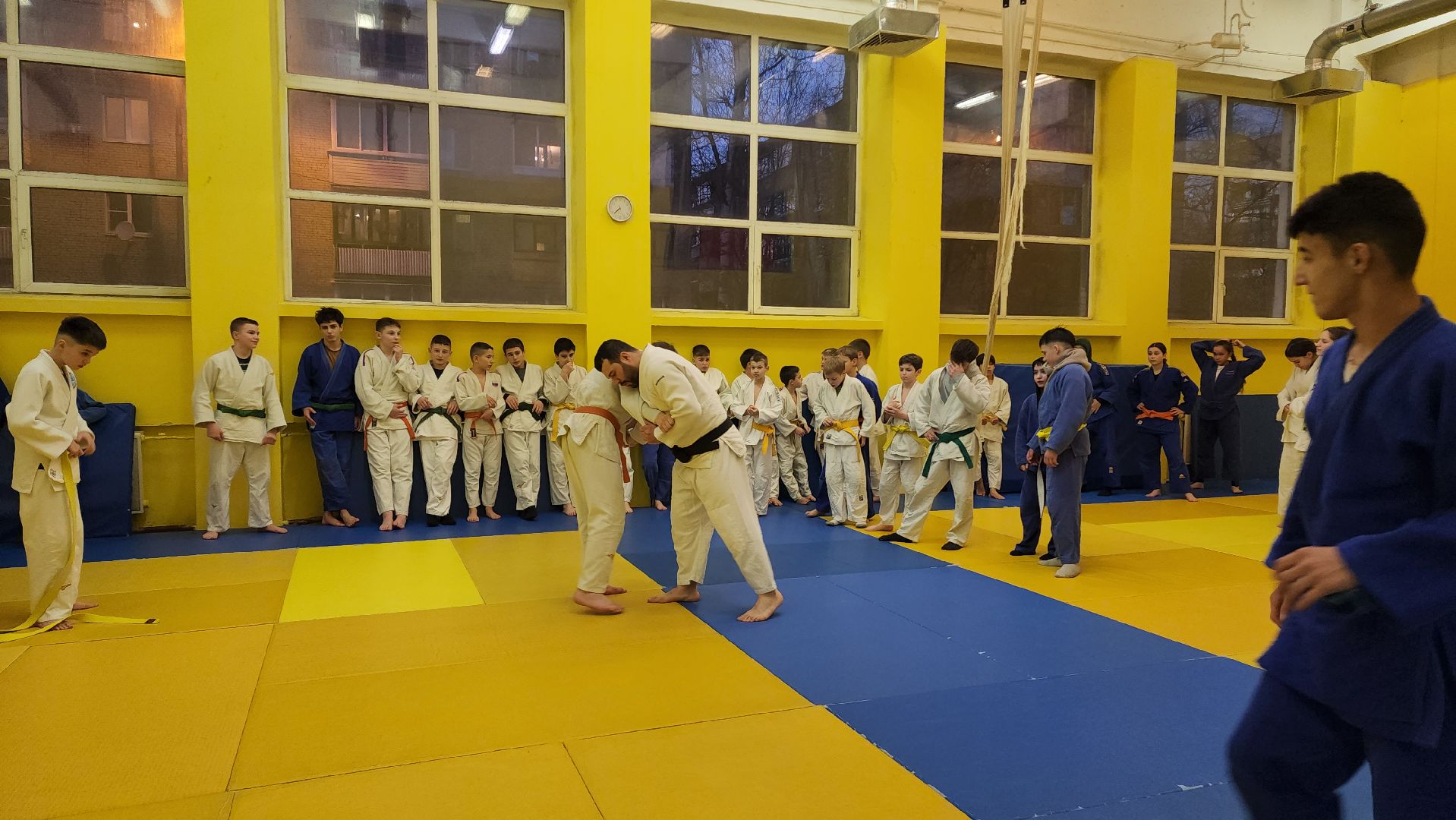 Дзюдо, Спорт , Лобня,