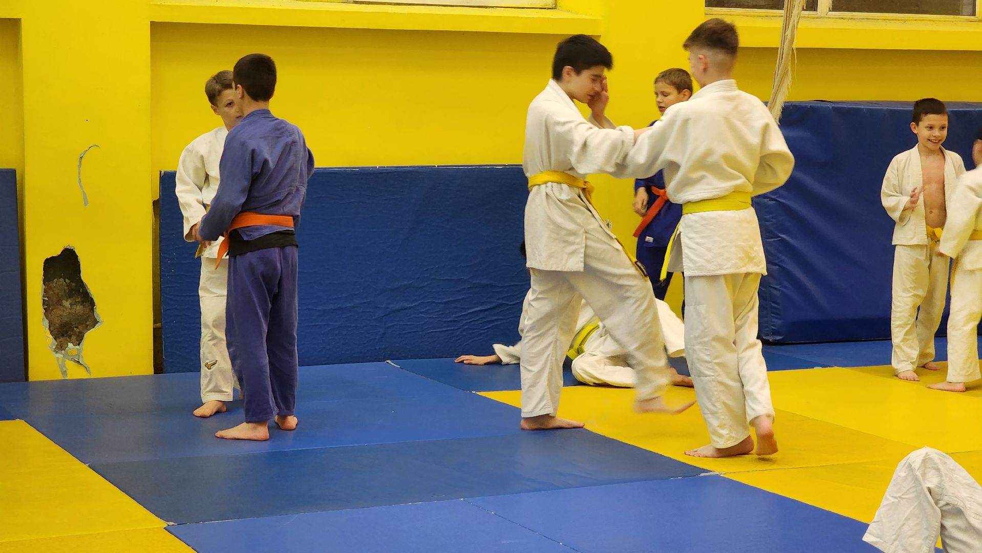 Дзюдо, Спорт , Лобня,